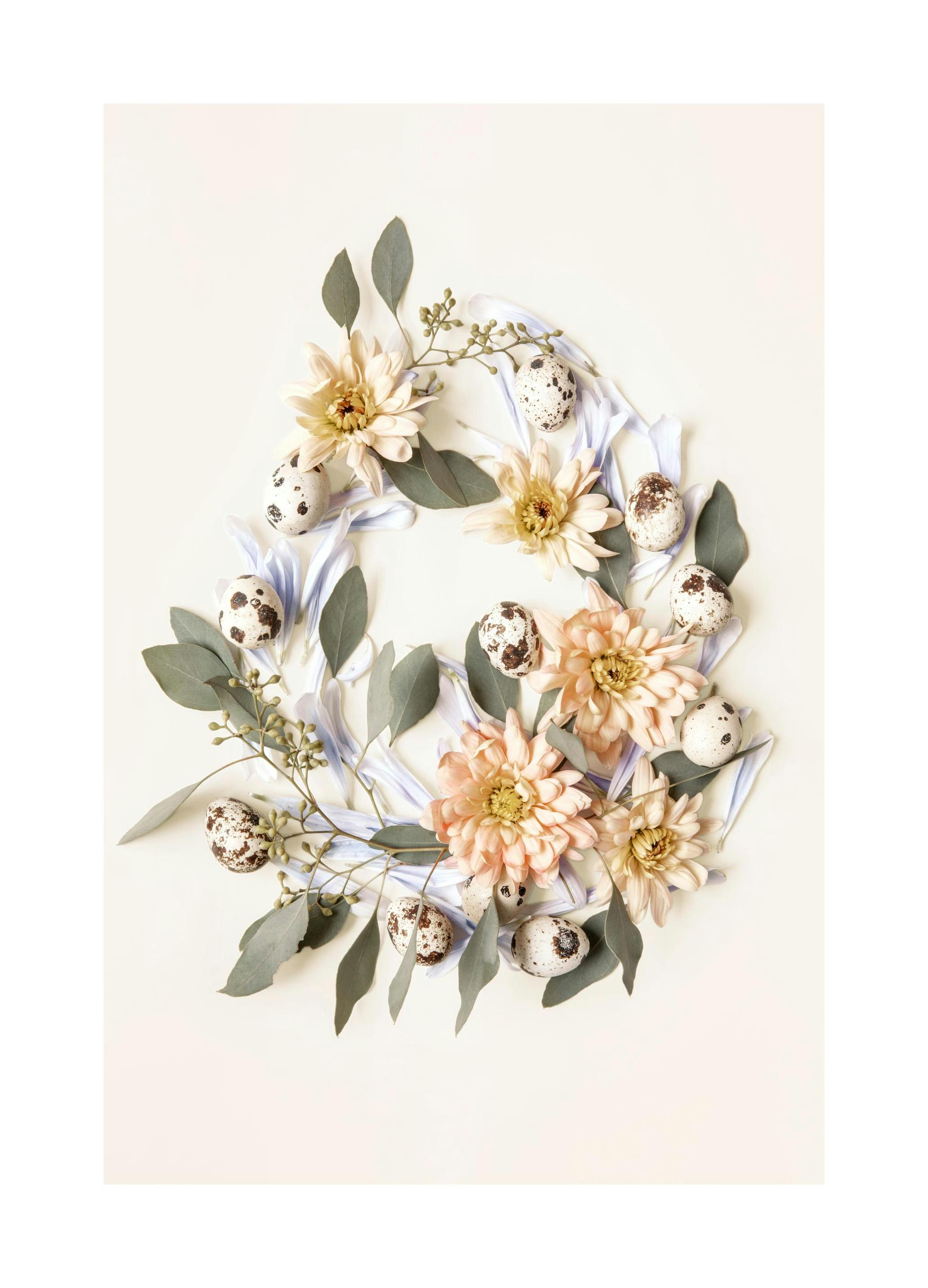 Botanische eiervormen poster (21x30 cm) - Poster Store