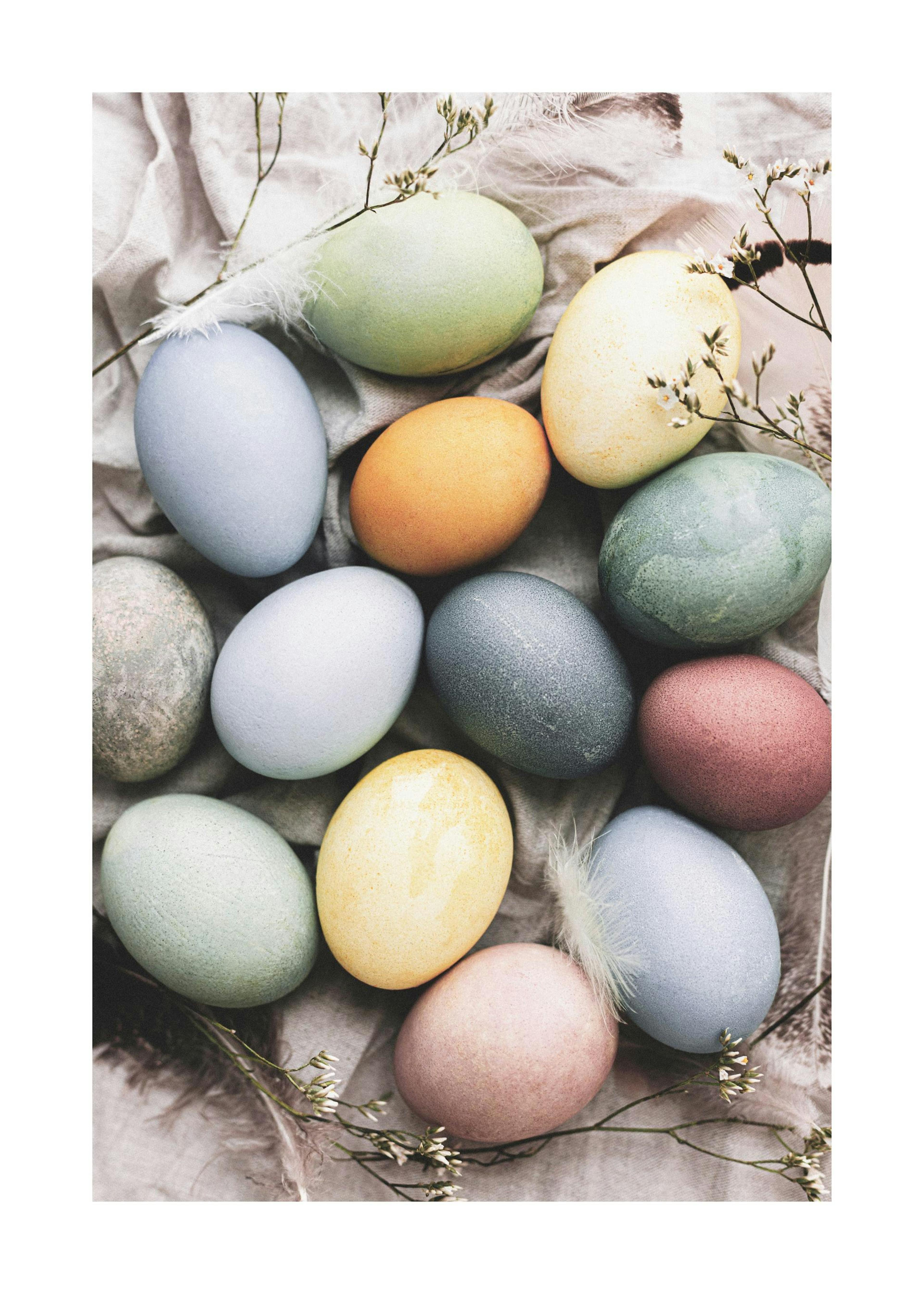 Pastel Colorful Eggs plakat 0