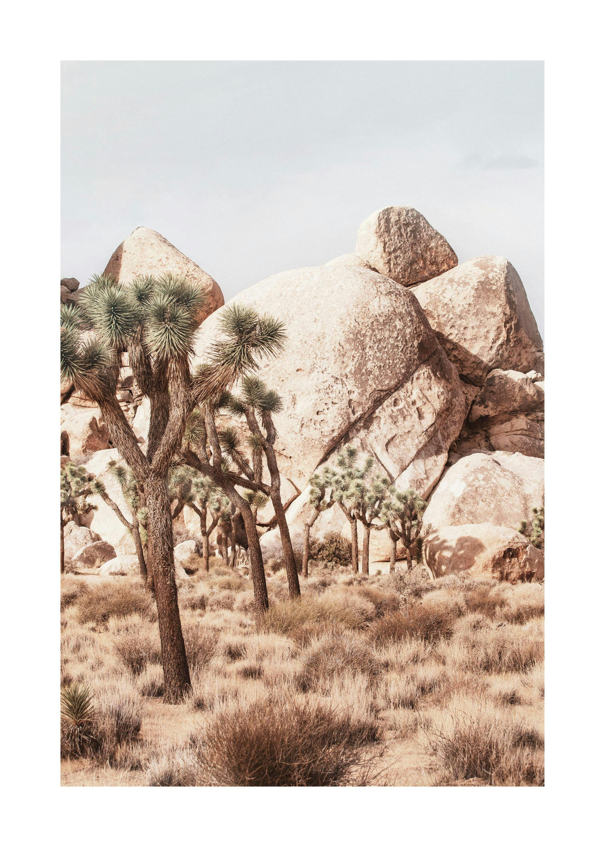 Joshua Tree Rocks Poster 0