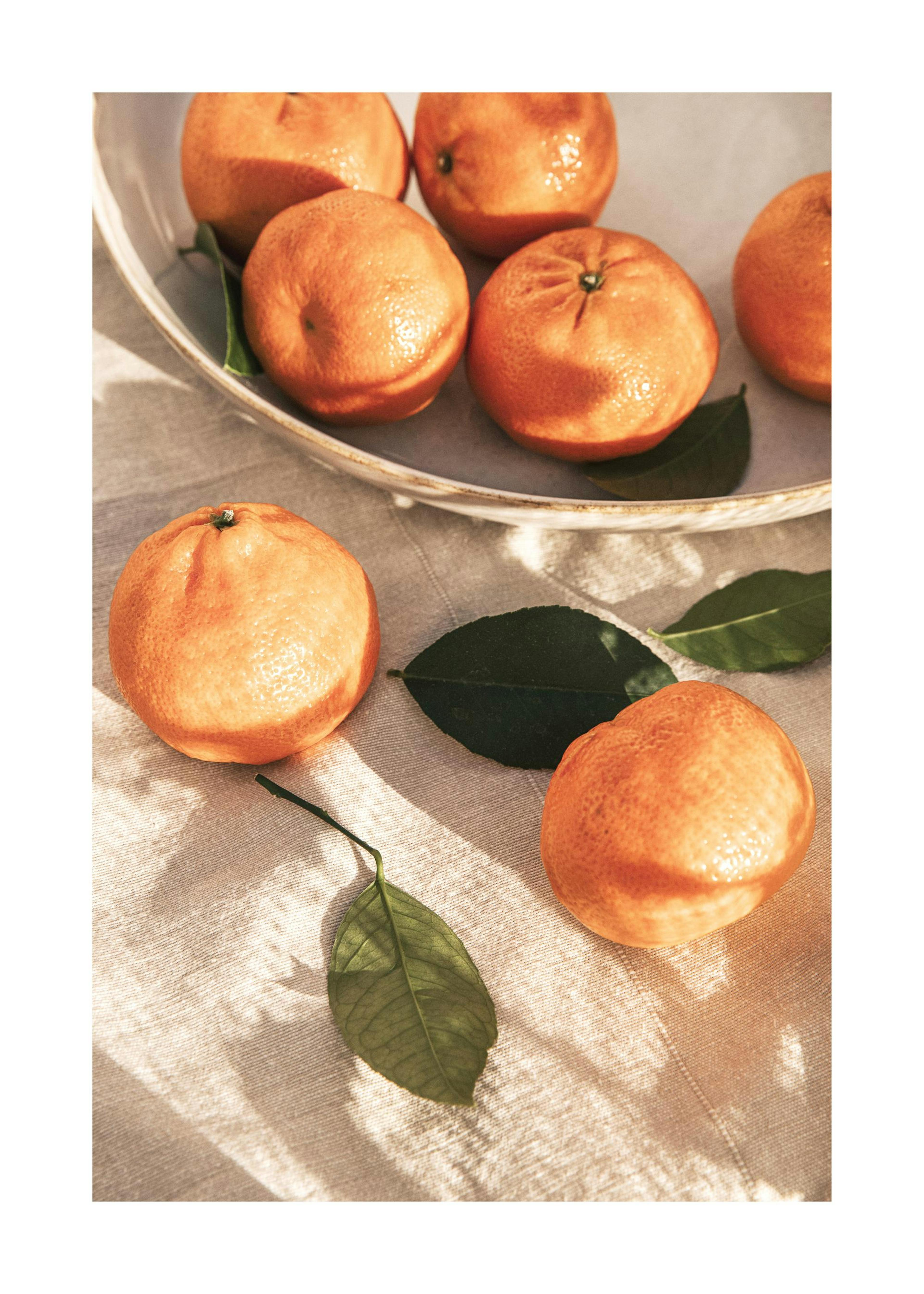 Sun-Warm Oranges Poster 0