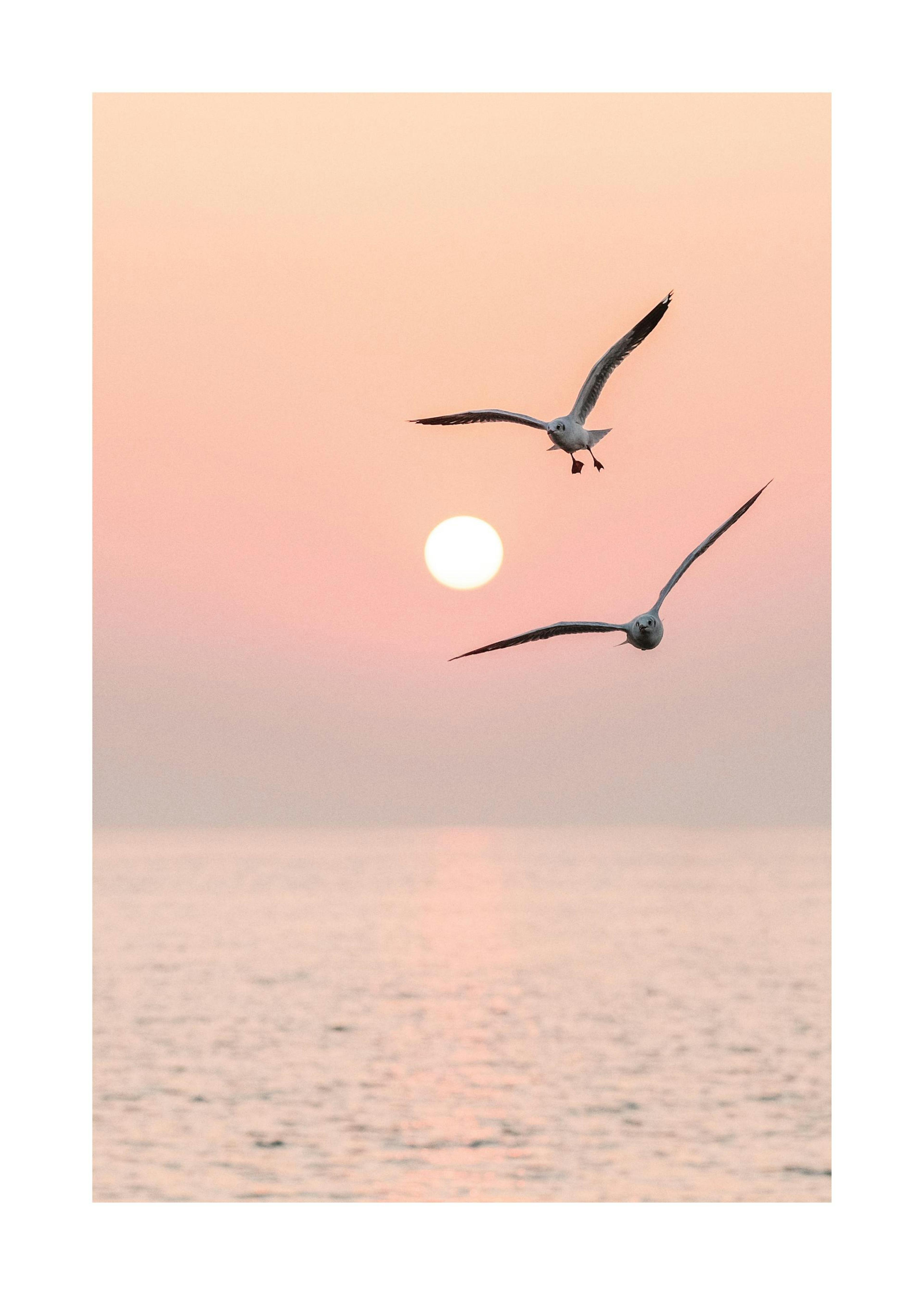 Fliegendes Paar Poster 0