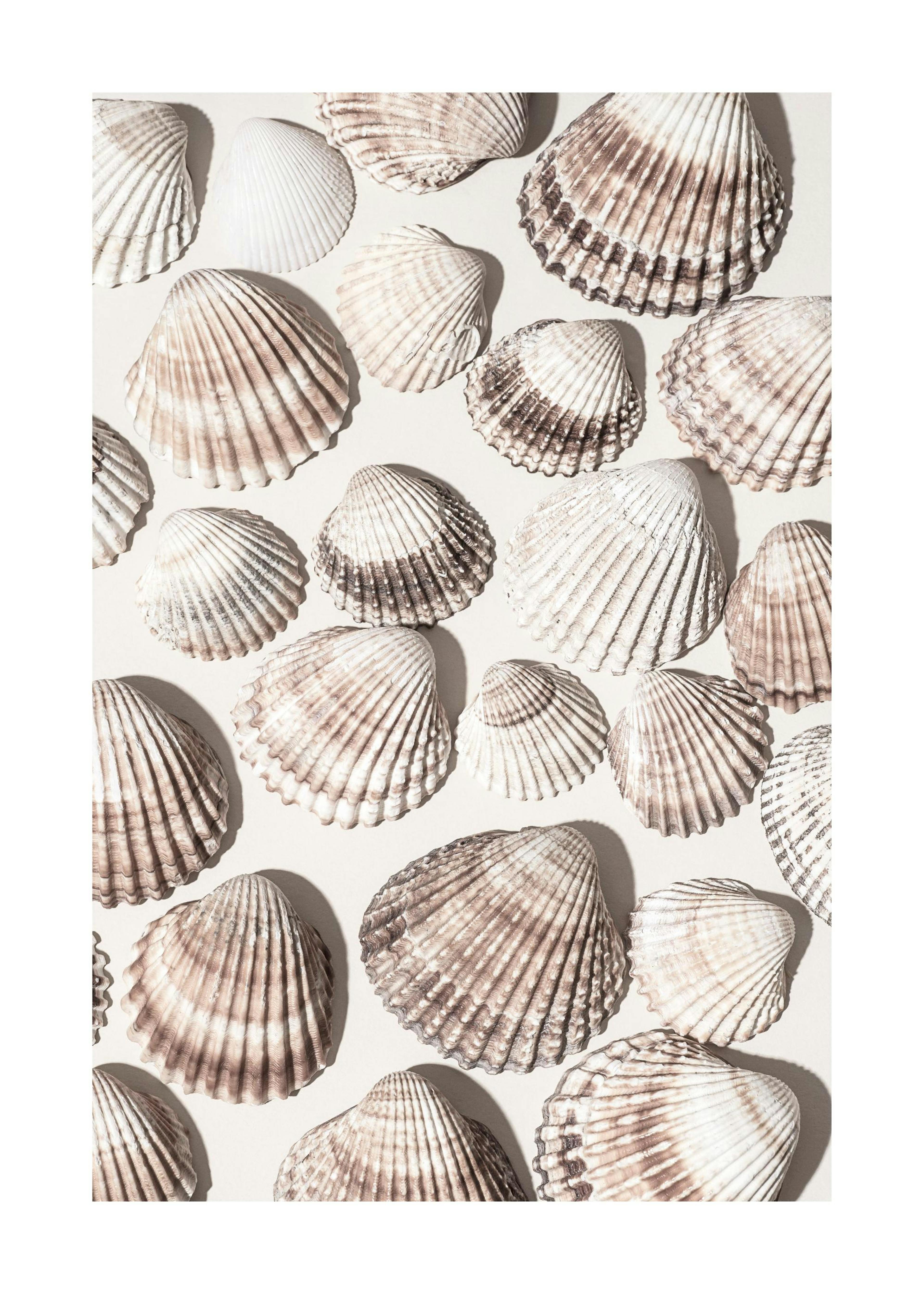 Trésors Marins Affiche 0