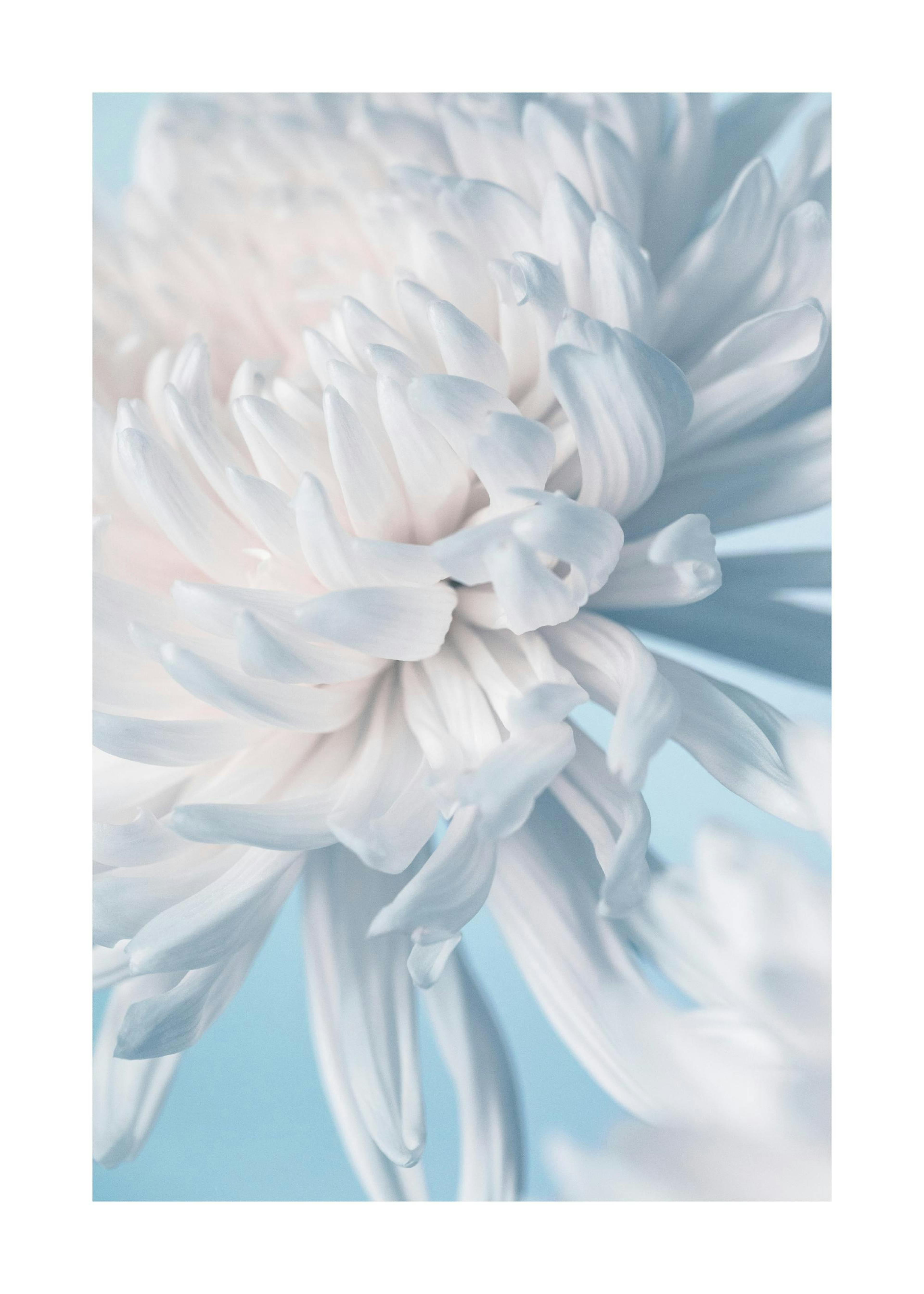 Pastel Mum Poster 0