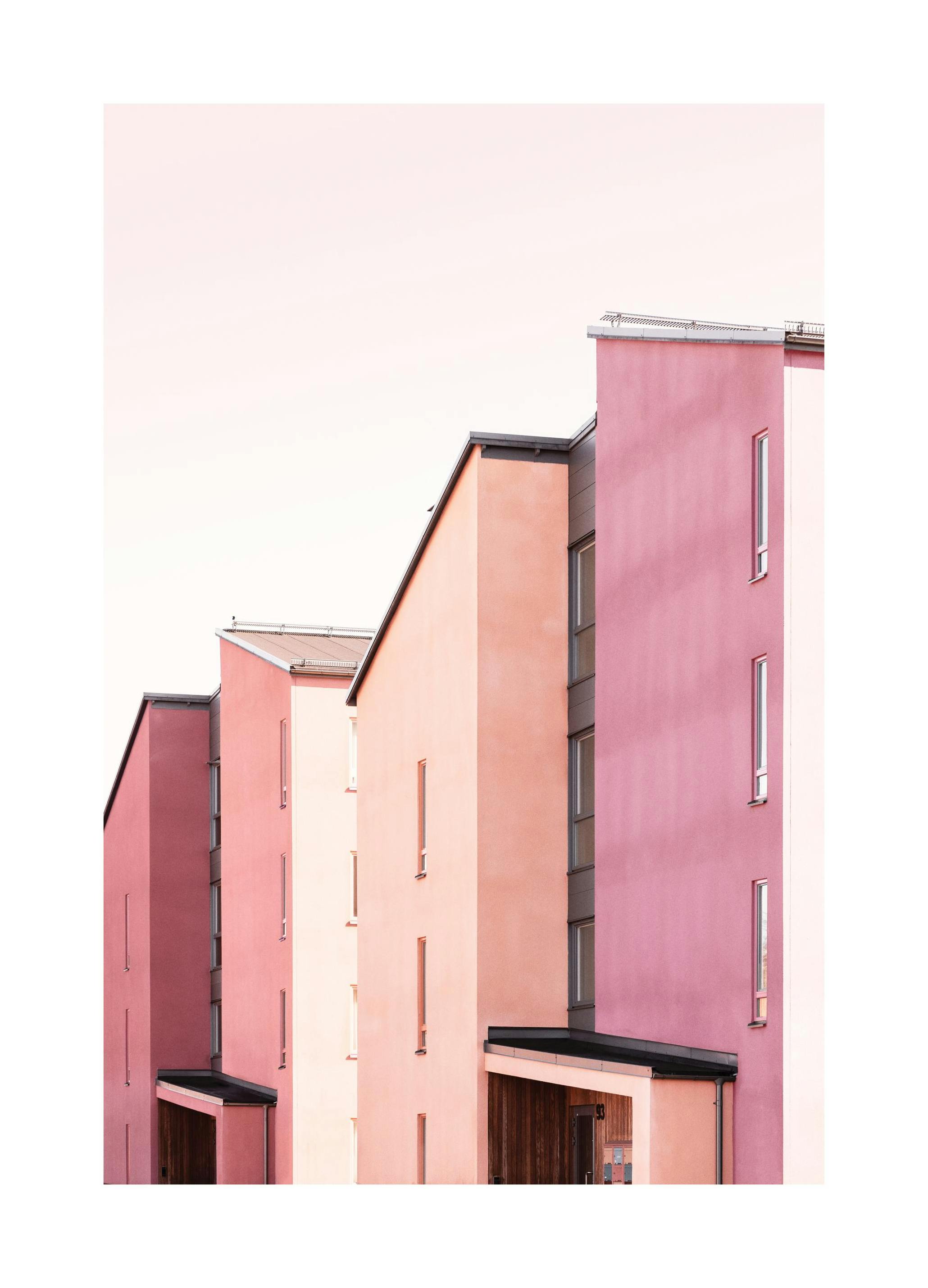 Nuances de Rose Poster (50x70 cm) - Poster Store