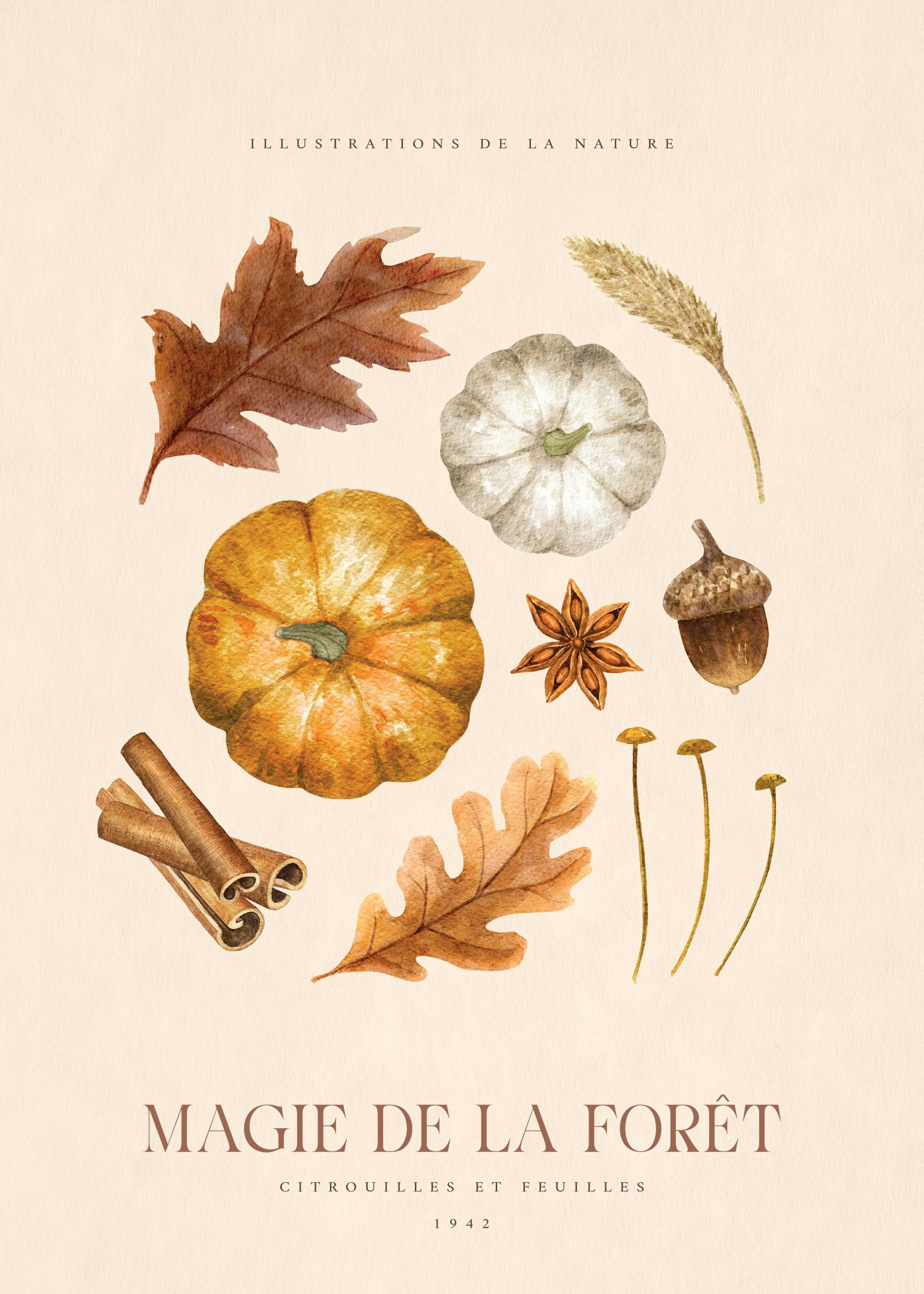 Magic of the Forest No2 Poster 0