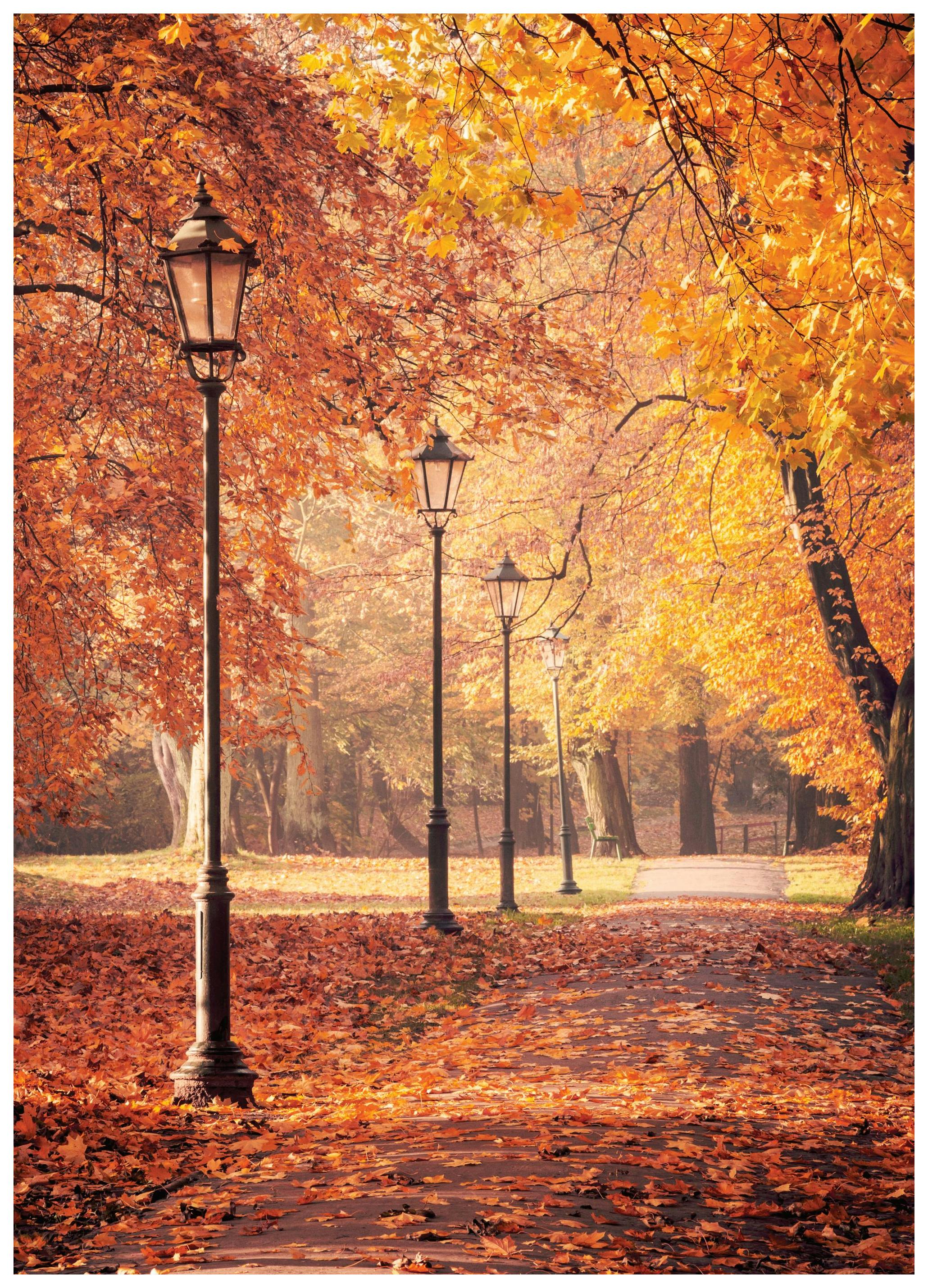 Herfstwandeling Poster (50x70 cm) - Poster Store
