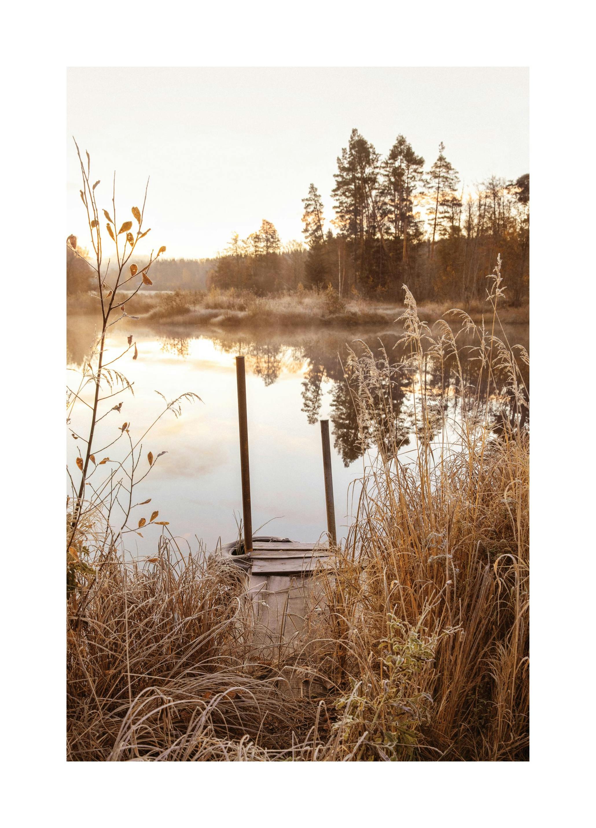 Morgen Innsjø Plakat (30x40 cm) - Poster Store