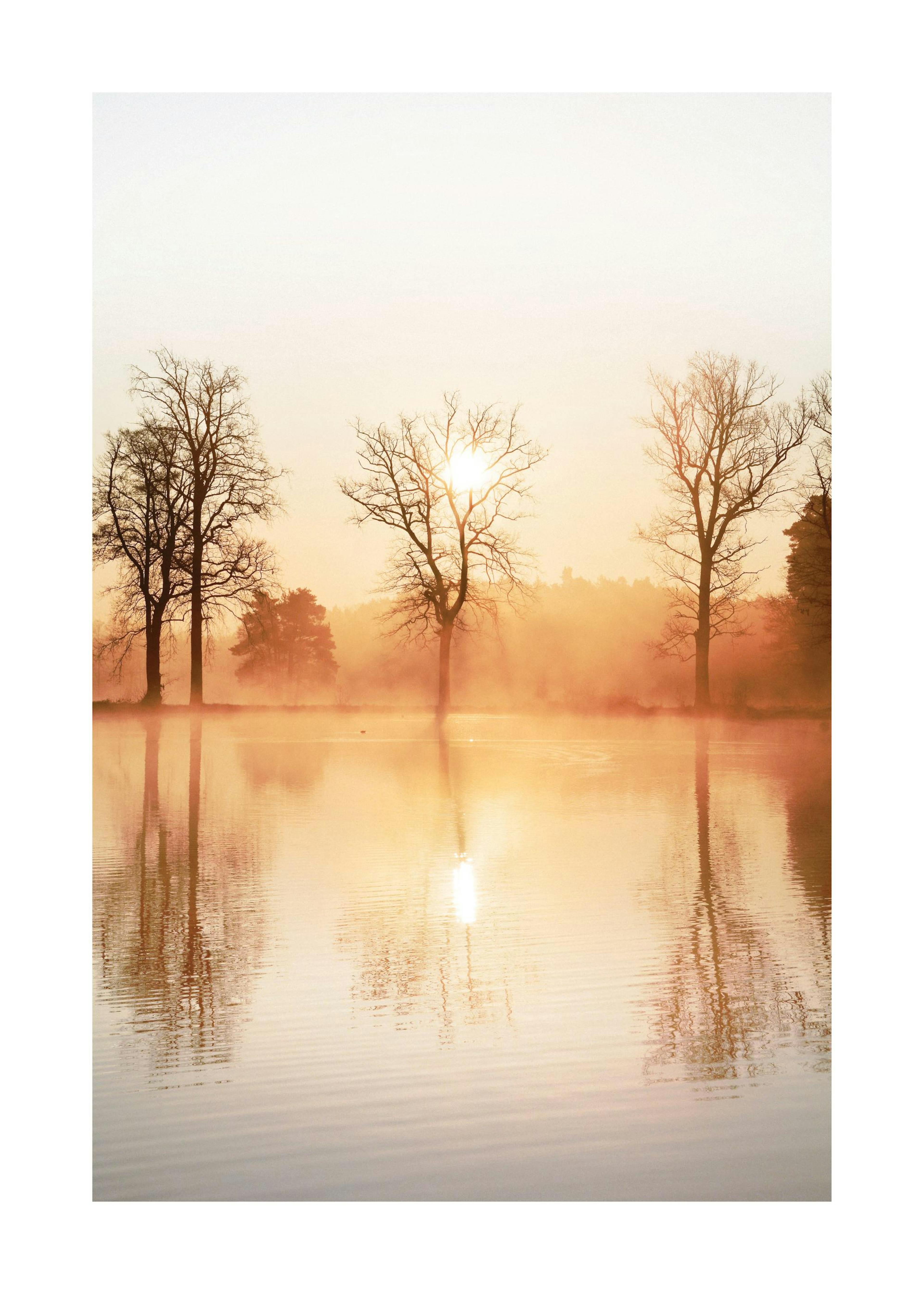 Riflesso Sfumato Poster 0
