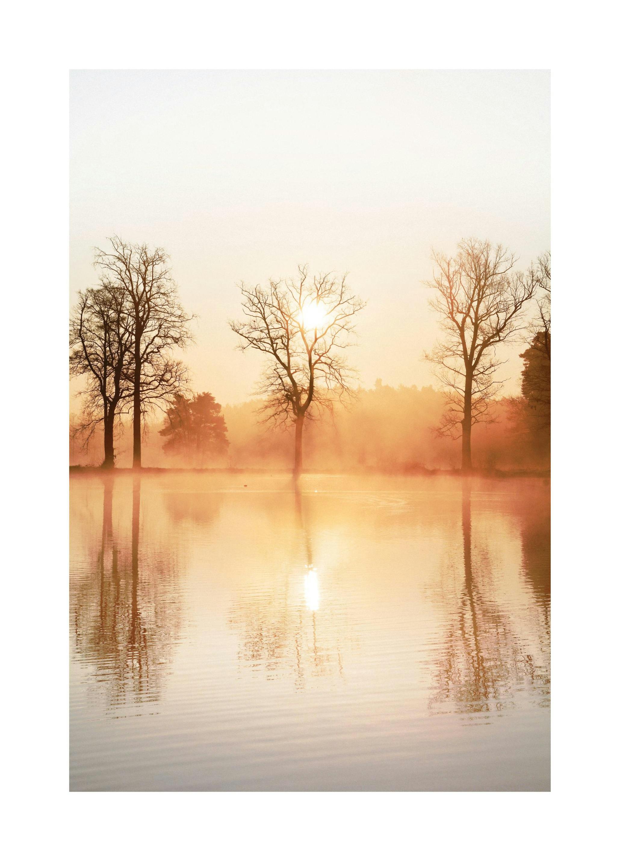 Réflexion Brumeuse Poster (50x70 cm) - Poster Store