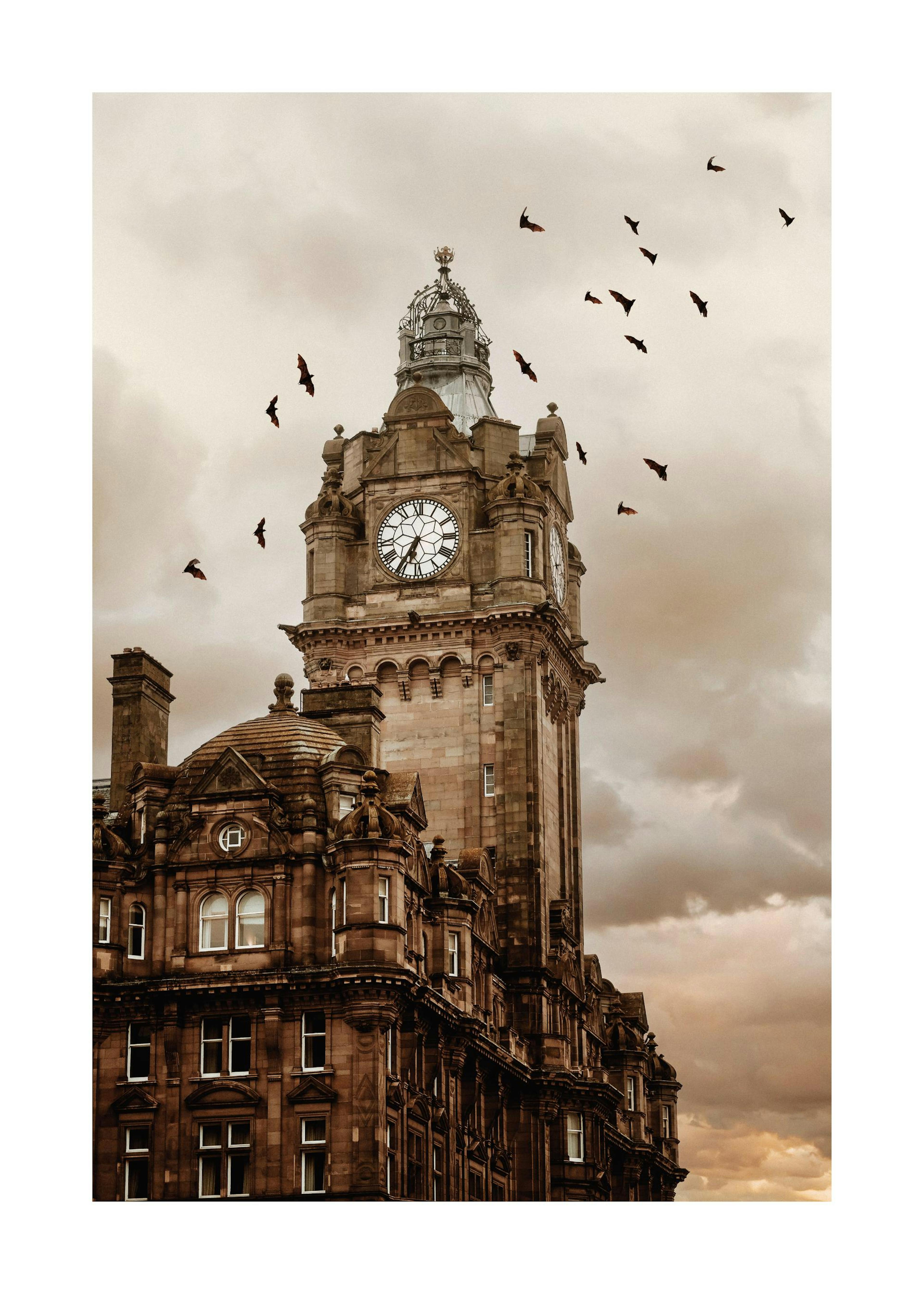 Bats by the Building Poster 0