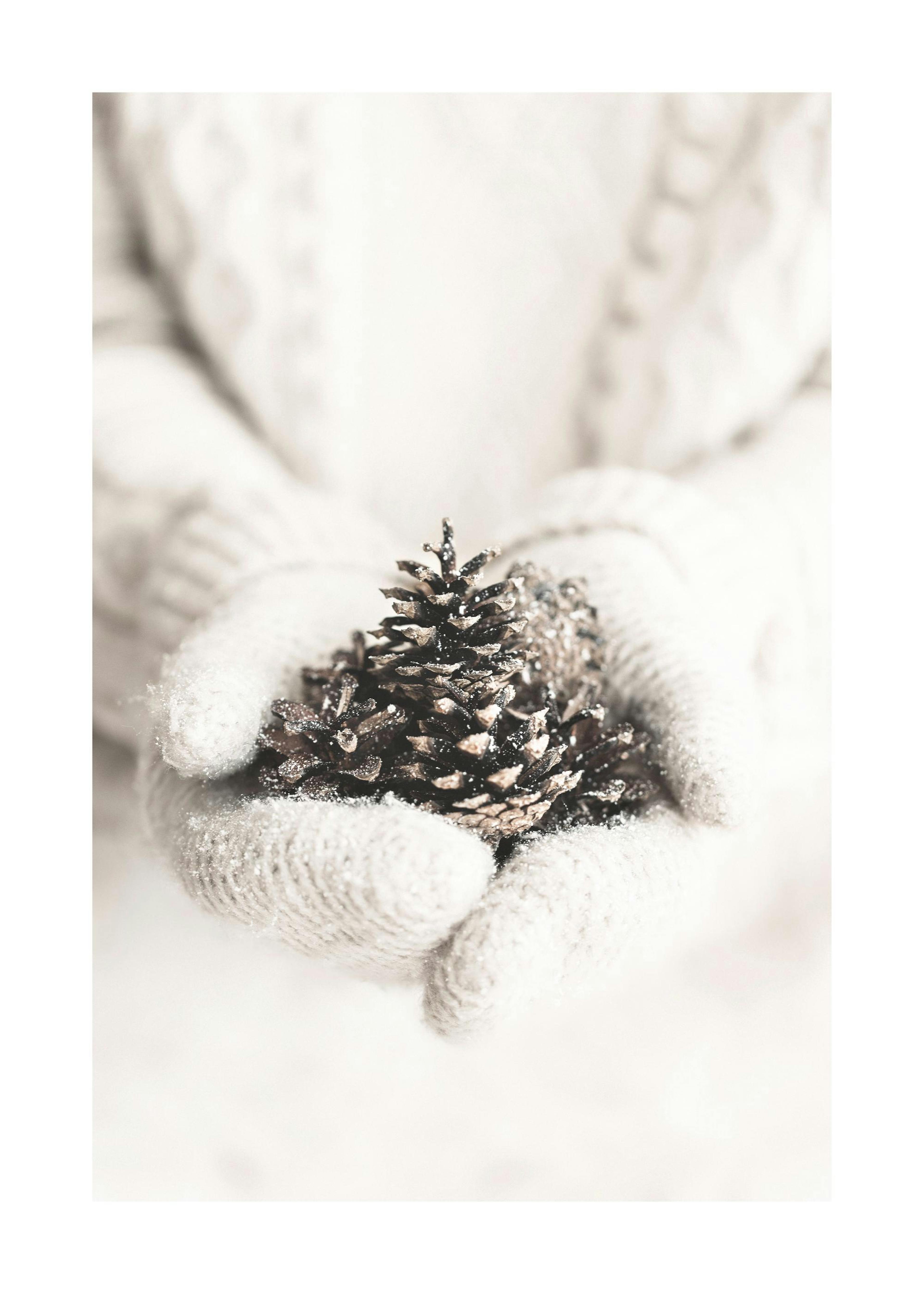 Winter Wishes Poster 0