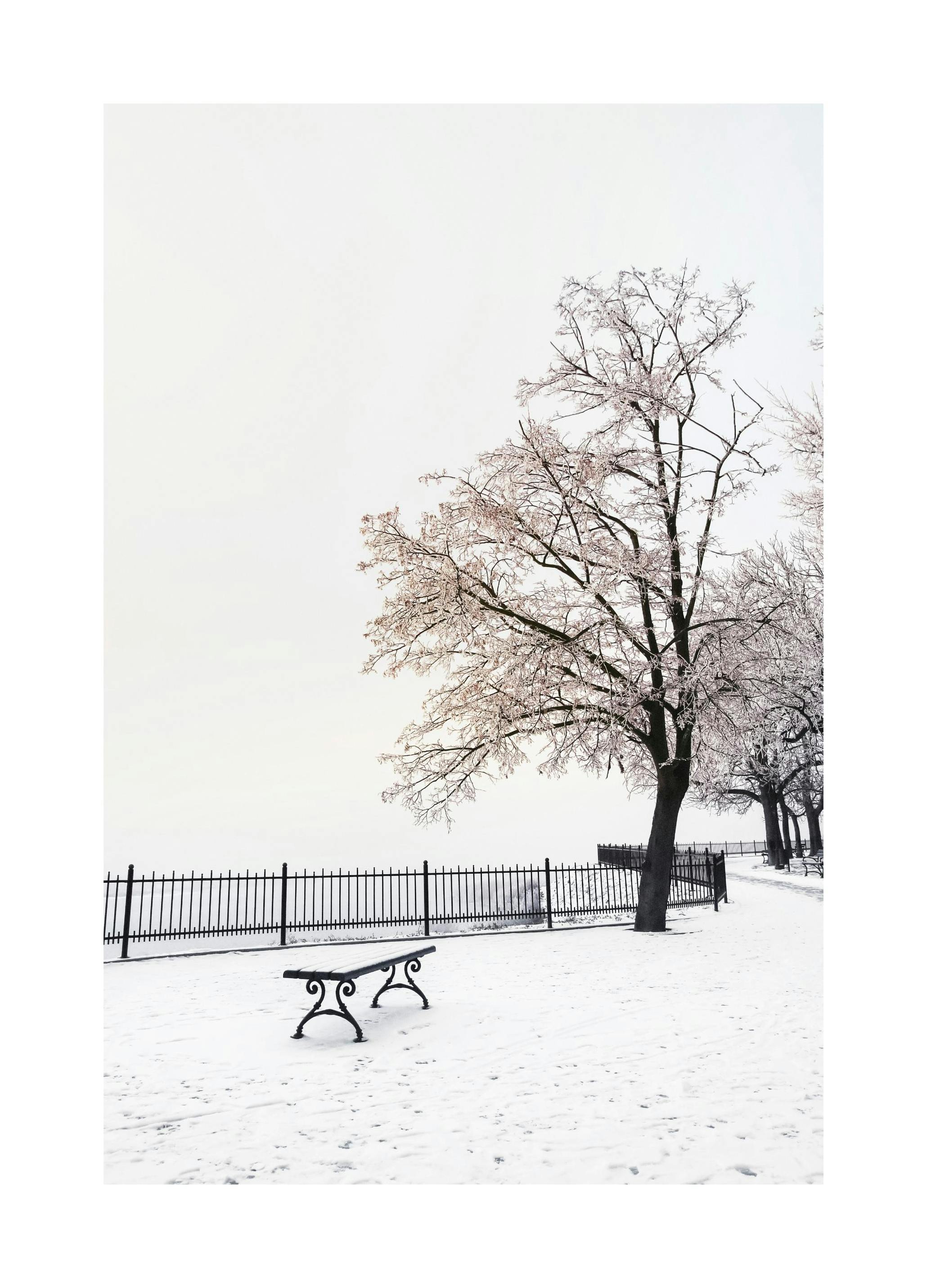 Bank in de winter Poster (30x40 cm) - Poster Store