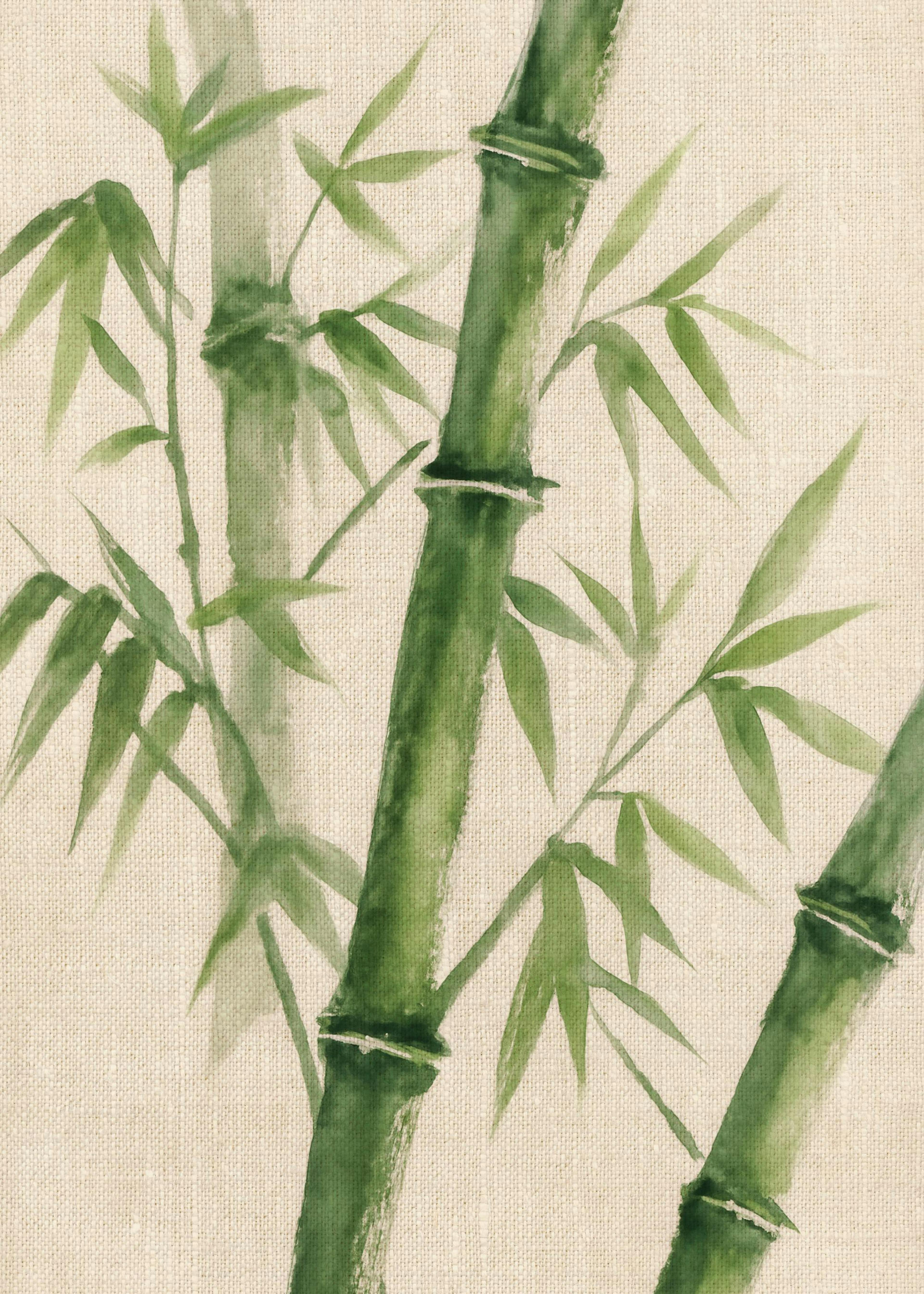 Bamboo on Linen Poster 0