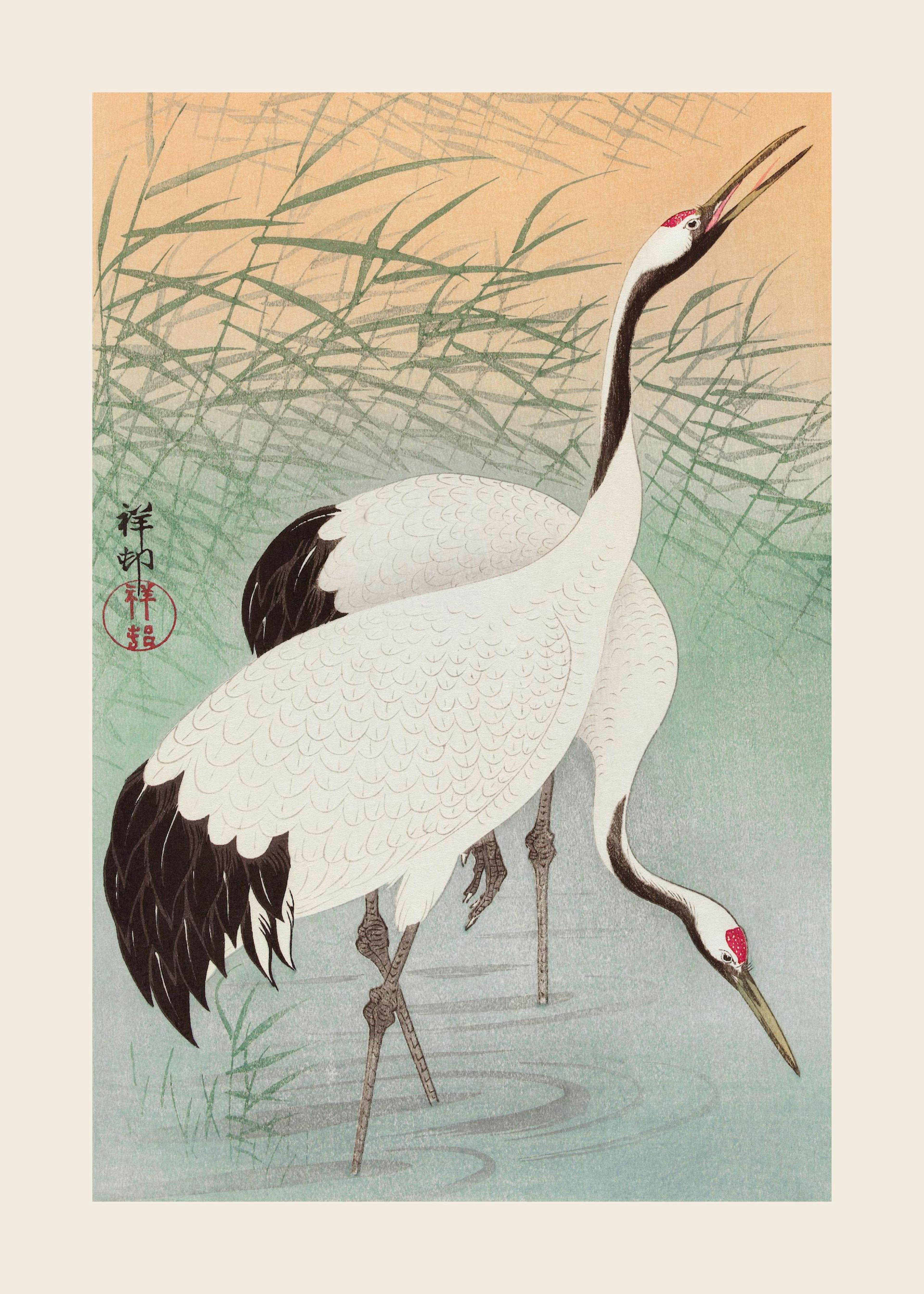 Ohara Koson - Two Cranes Poster 0