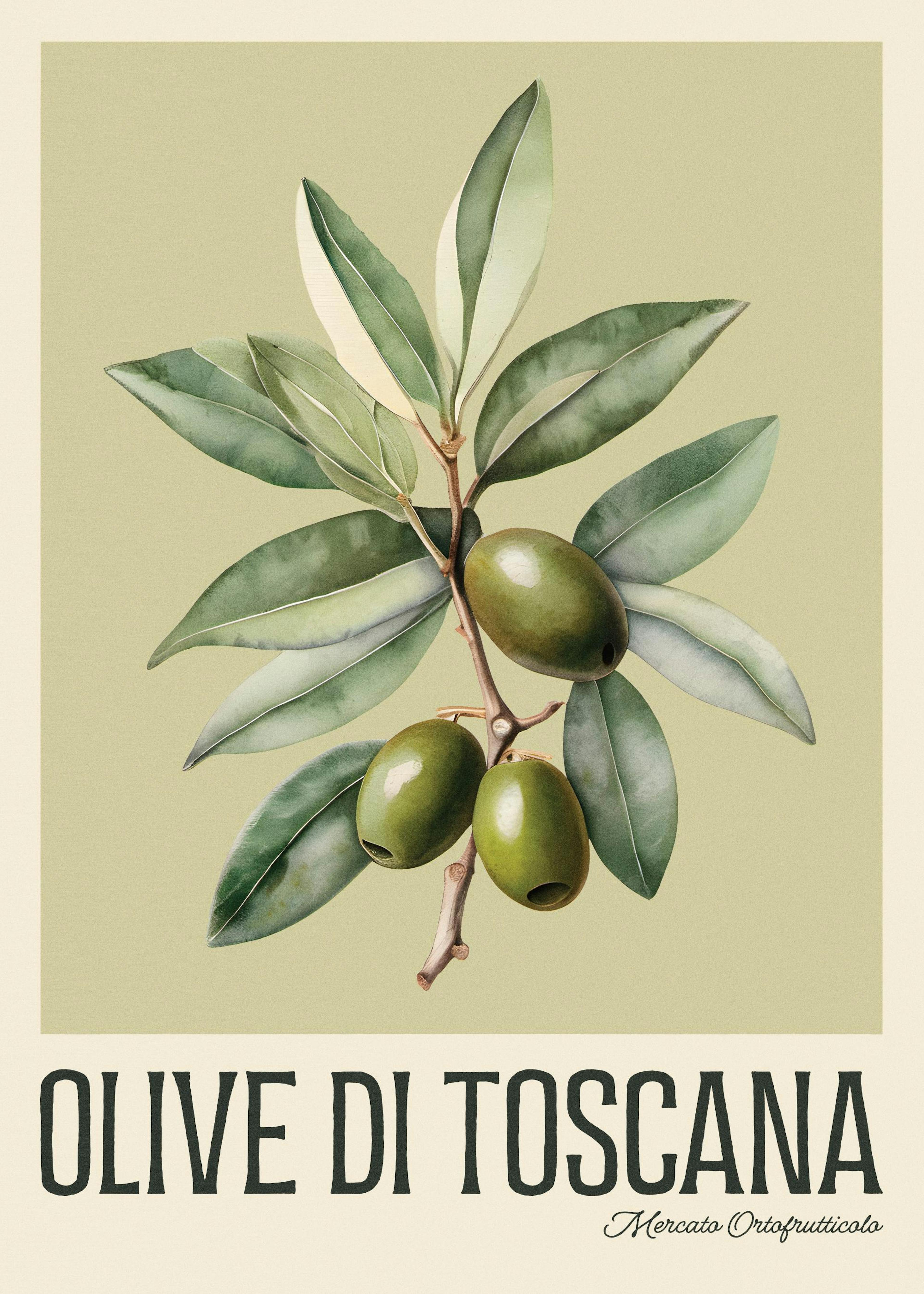 Olive di Toscana Poster 0