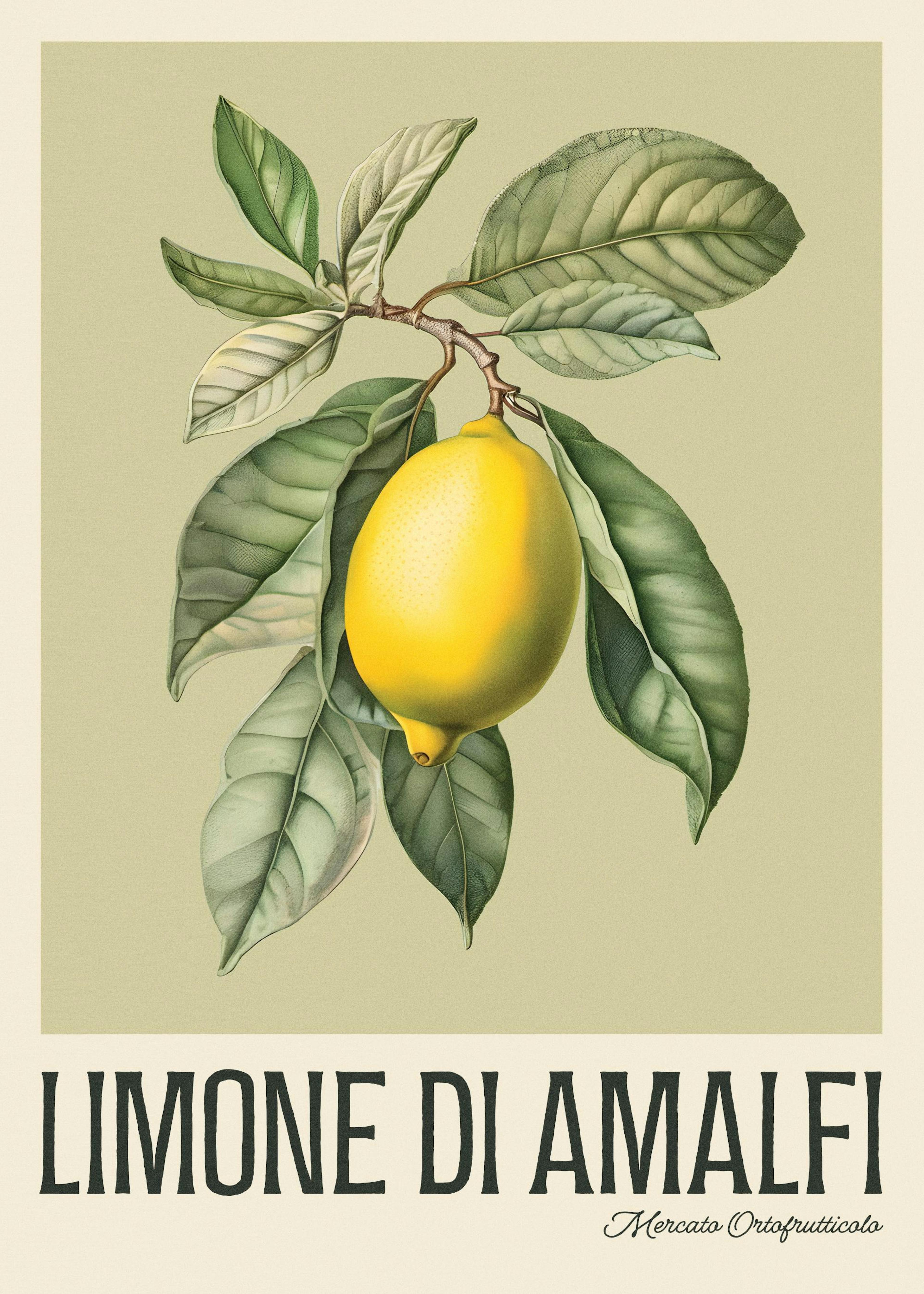 Limone di Amalfi Poster 0