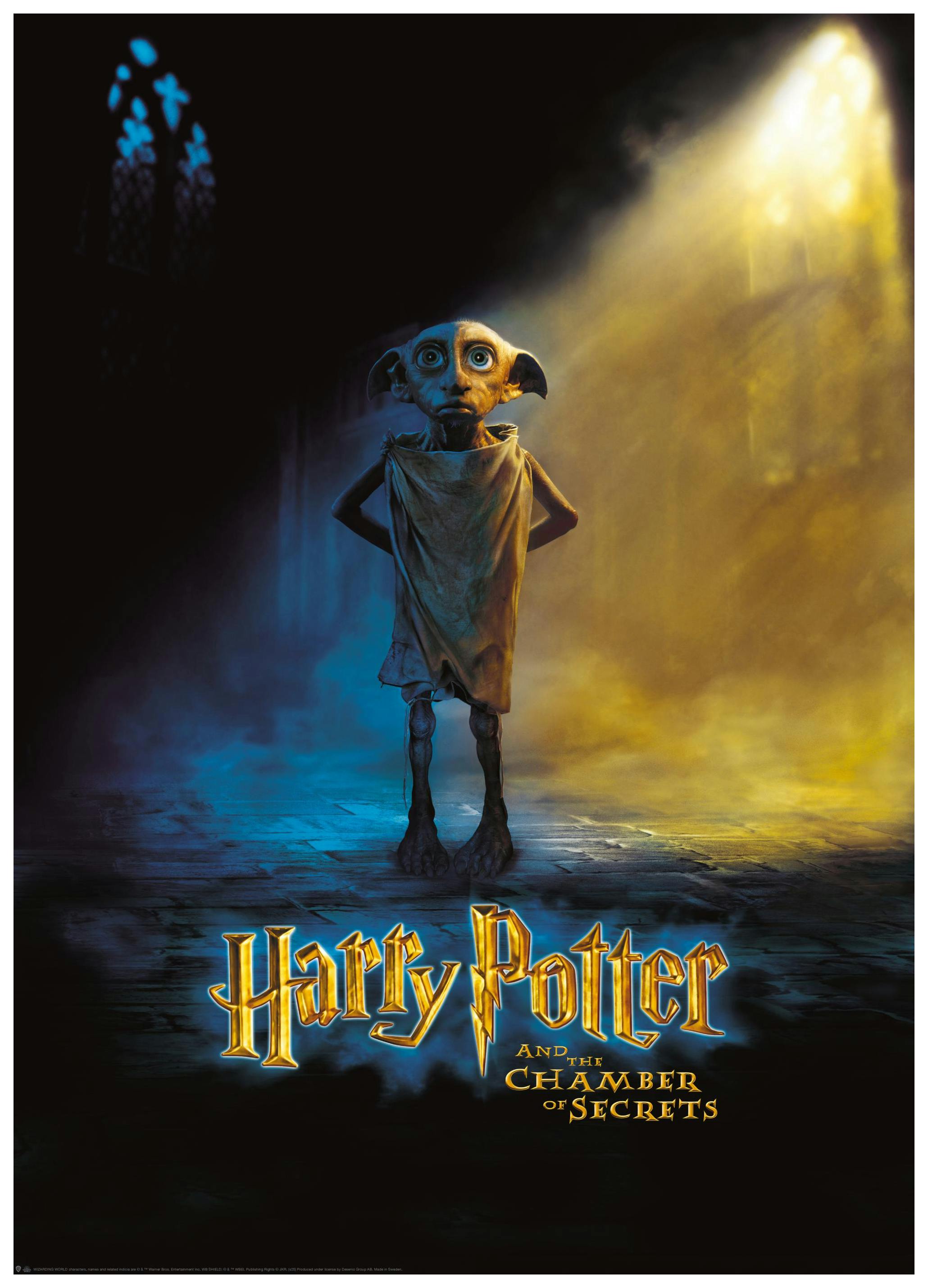 Harry Potter™ - Chamber of Secrets Poster (50x70 cm) - Poster Store