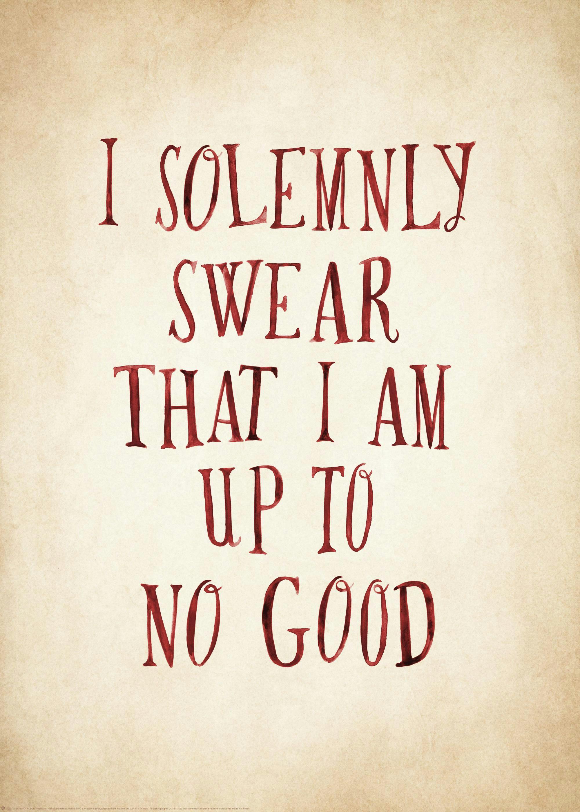 Harry Potter™ - I Solemnly Swear Poster 0