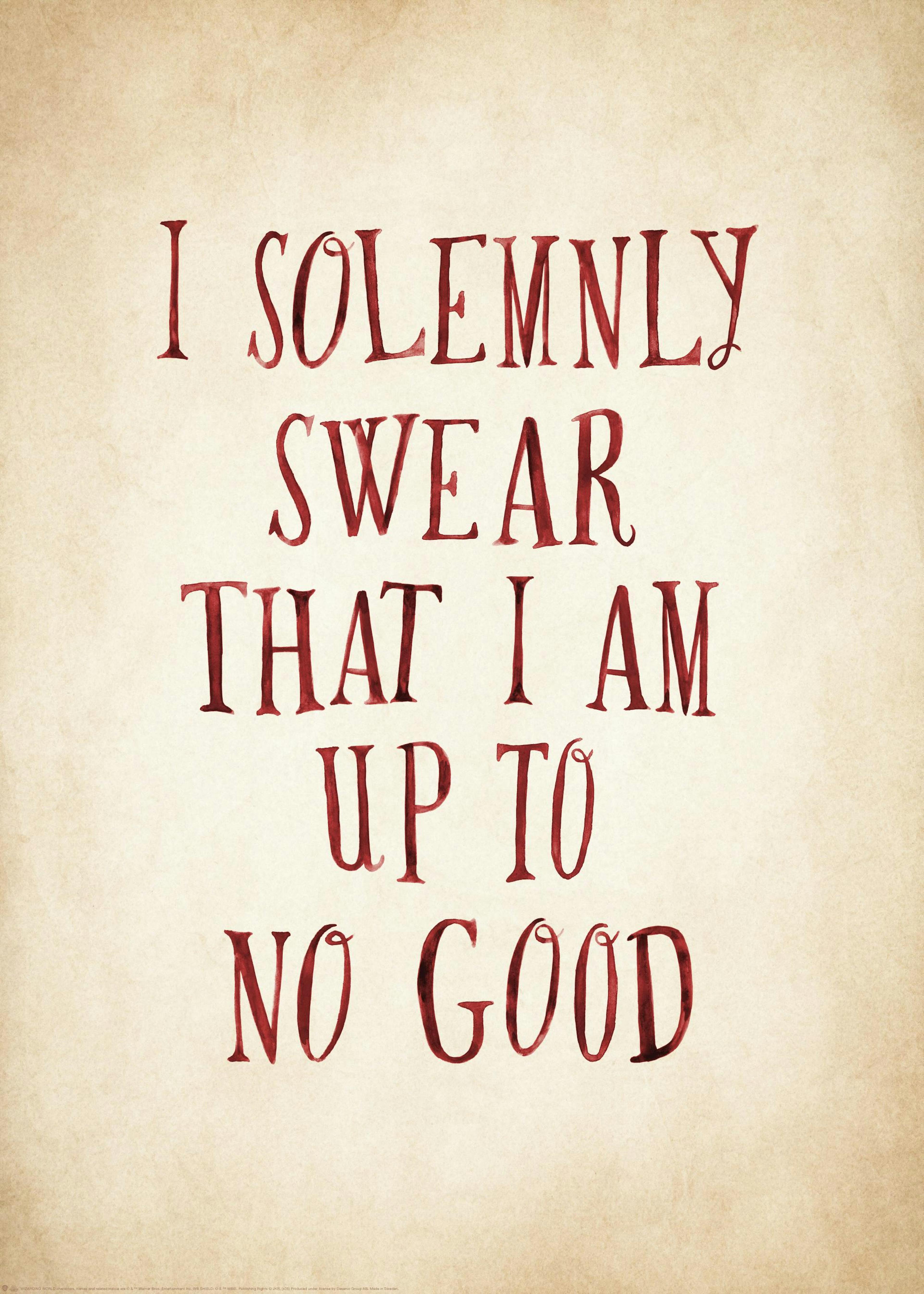 Harry Potter™ - I Solemnly Swear Poster 0