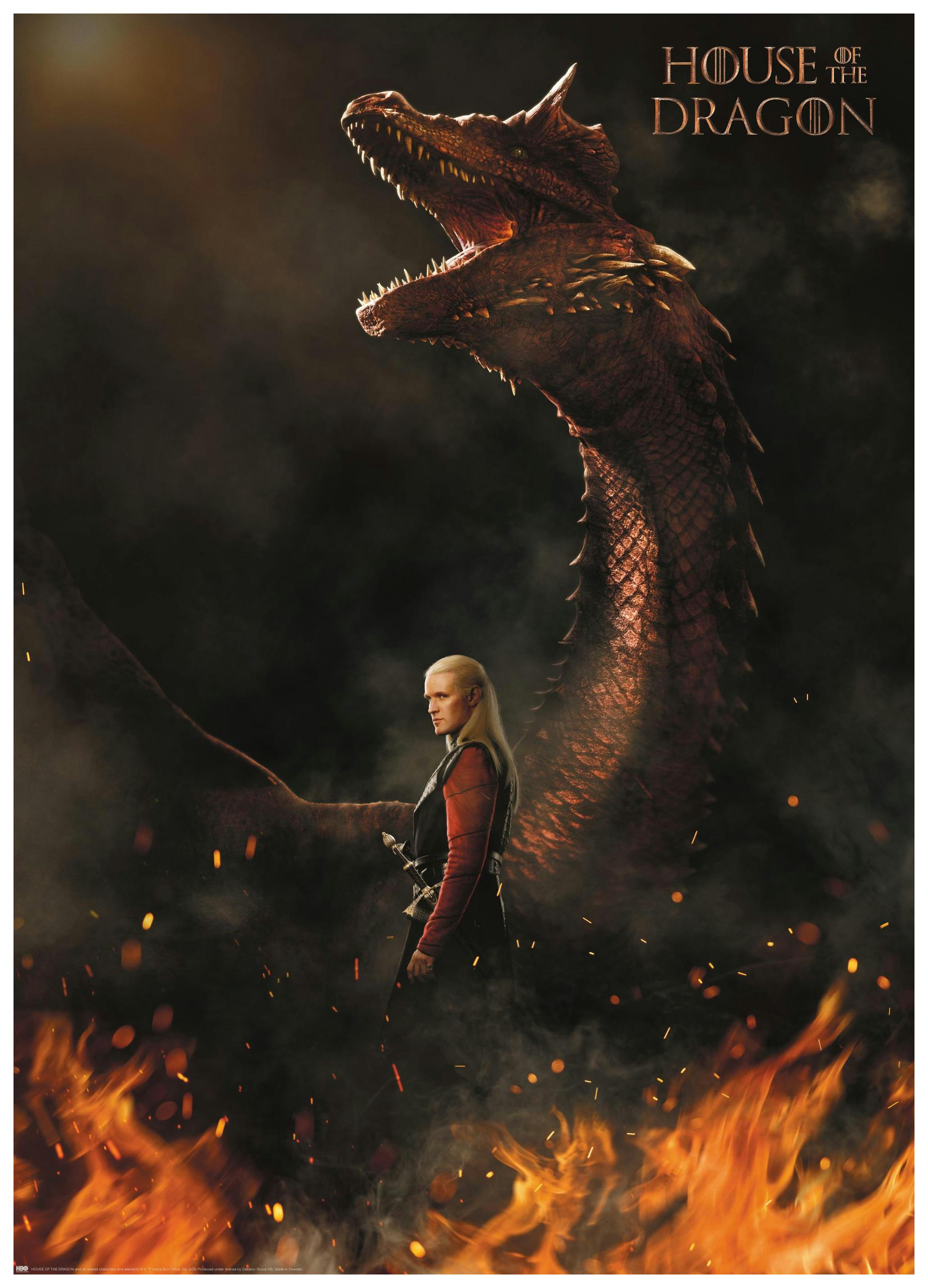 House of the Dragon™ - Daemon Targaryen Poster (50x70 cm) - Poster Store