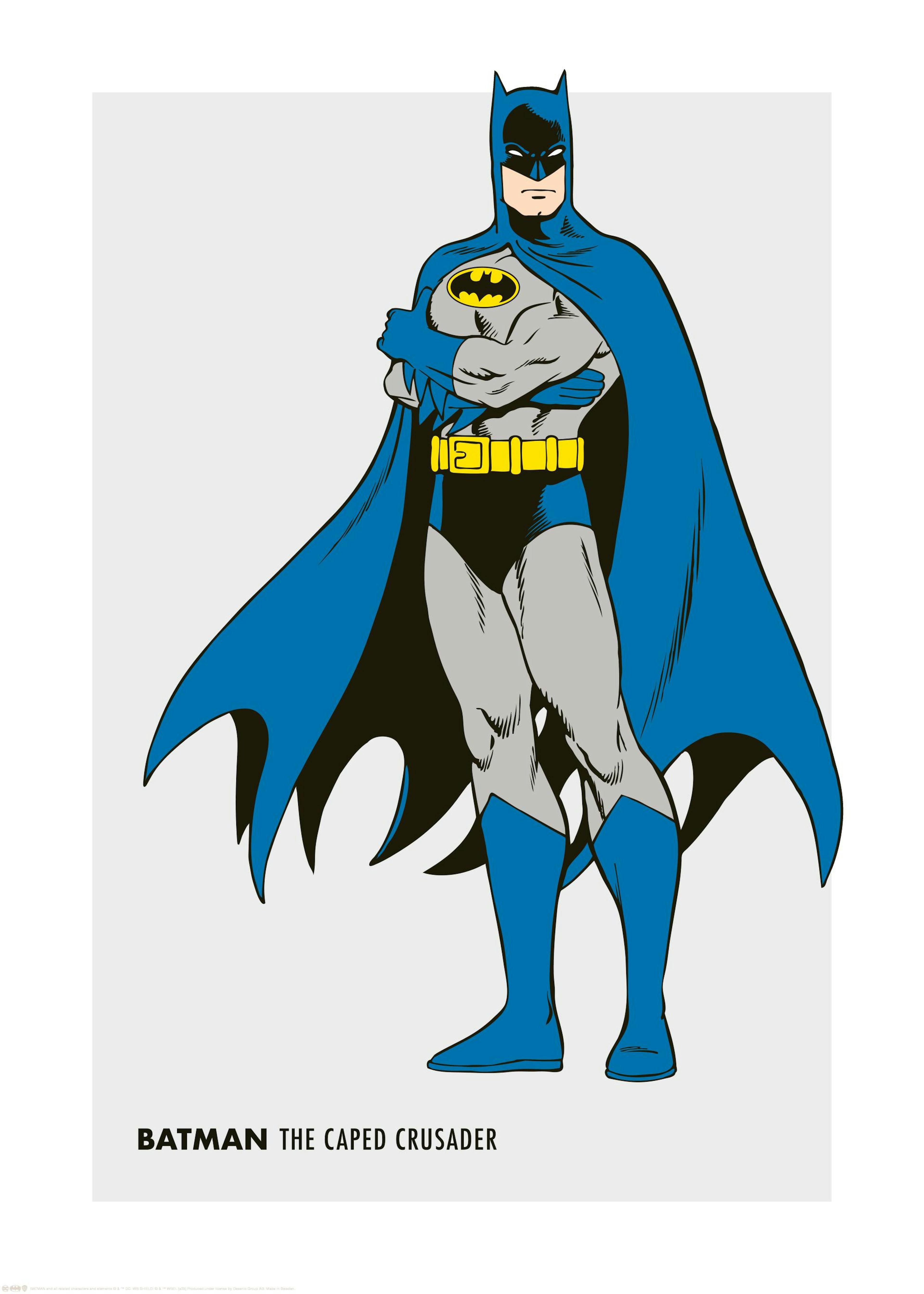 Batman™ - Retro Poster 0