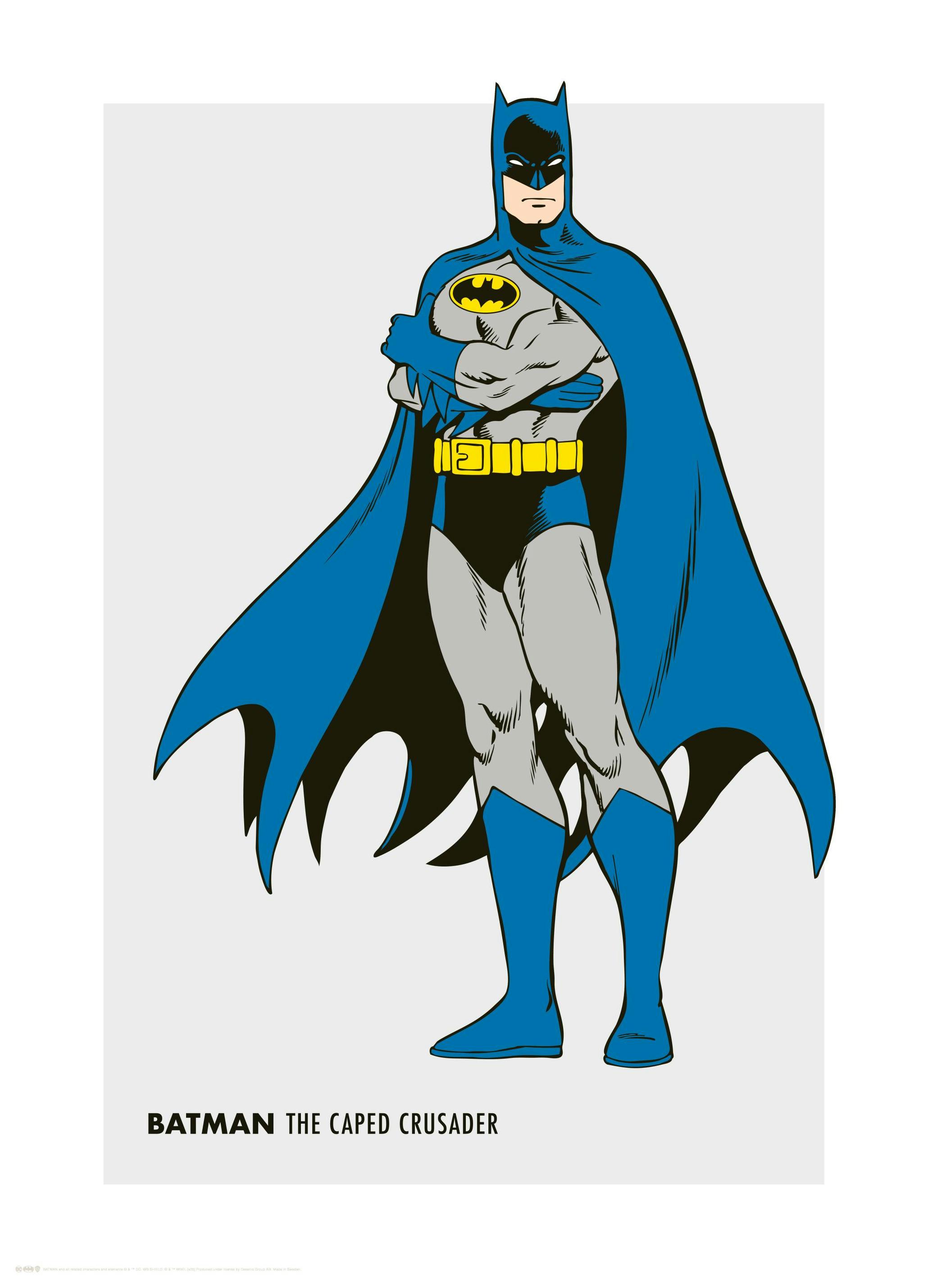 Batman™ - Retro Poster (30x40 cm) - Poster Store
