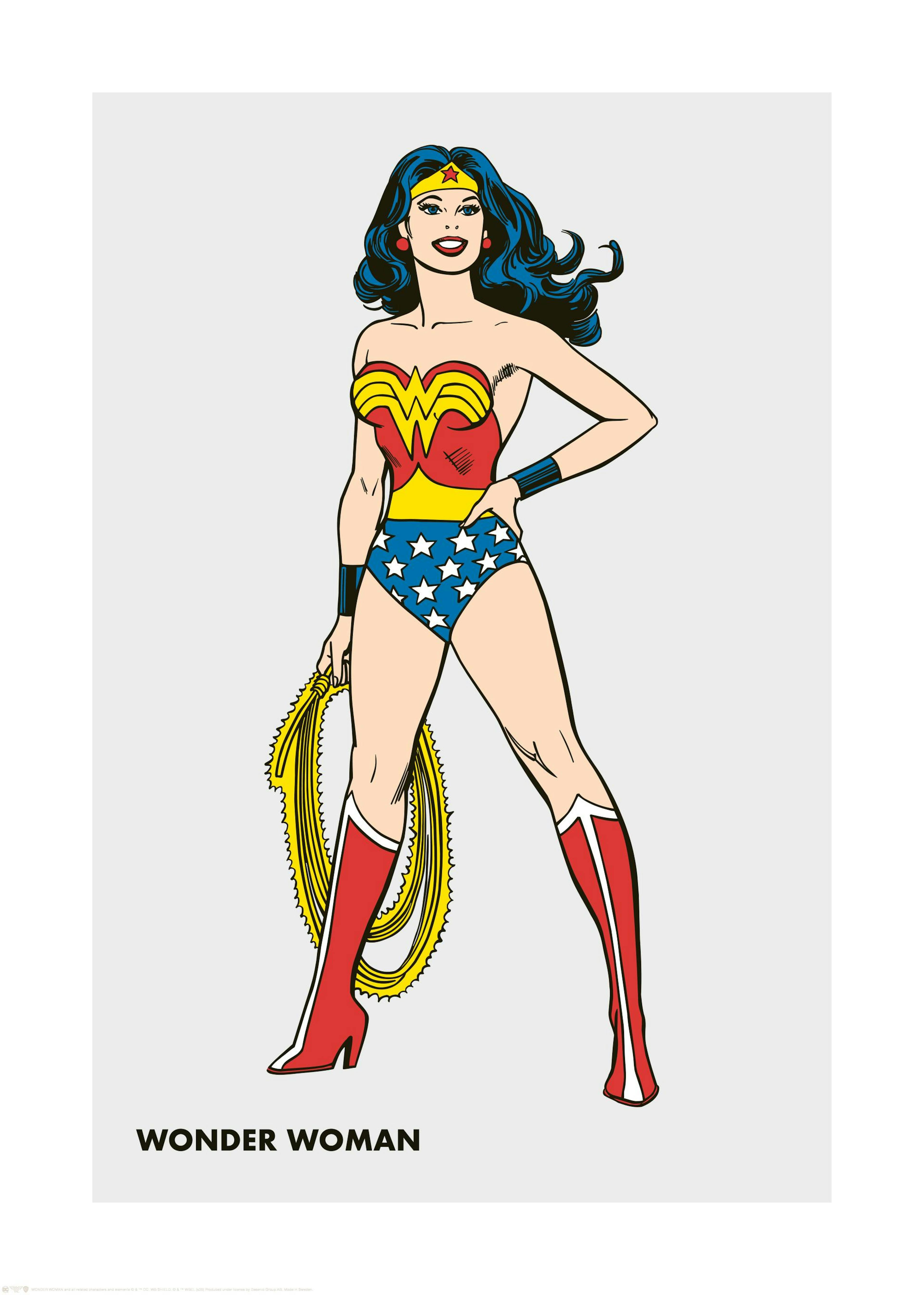 Wonder Woman™ - Retro Poster 0