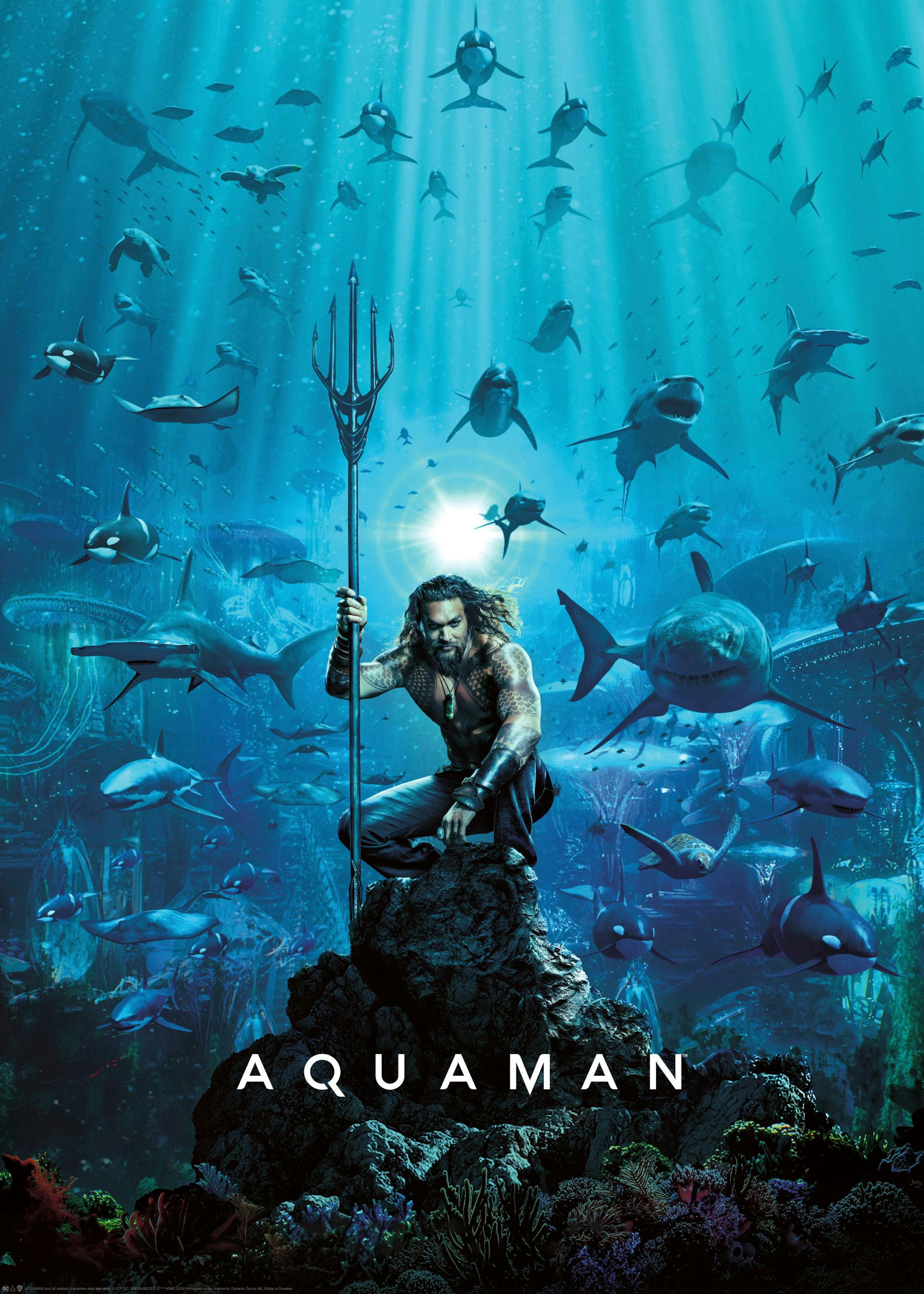 Aquaman™ - Home Is Calling Poster 0
