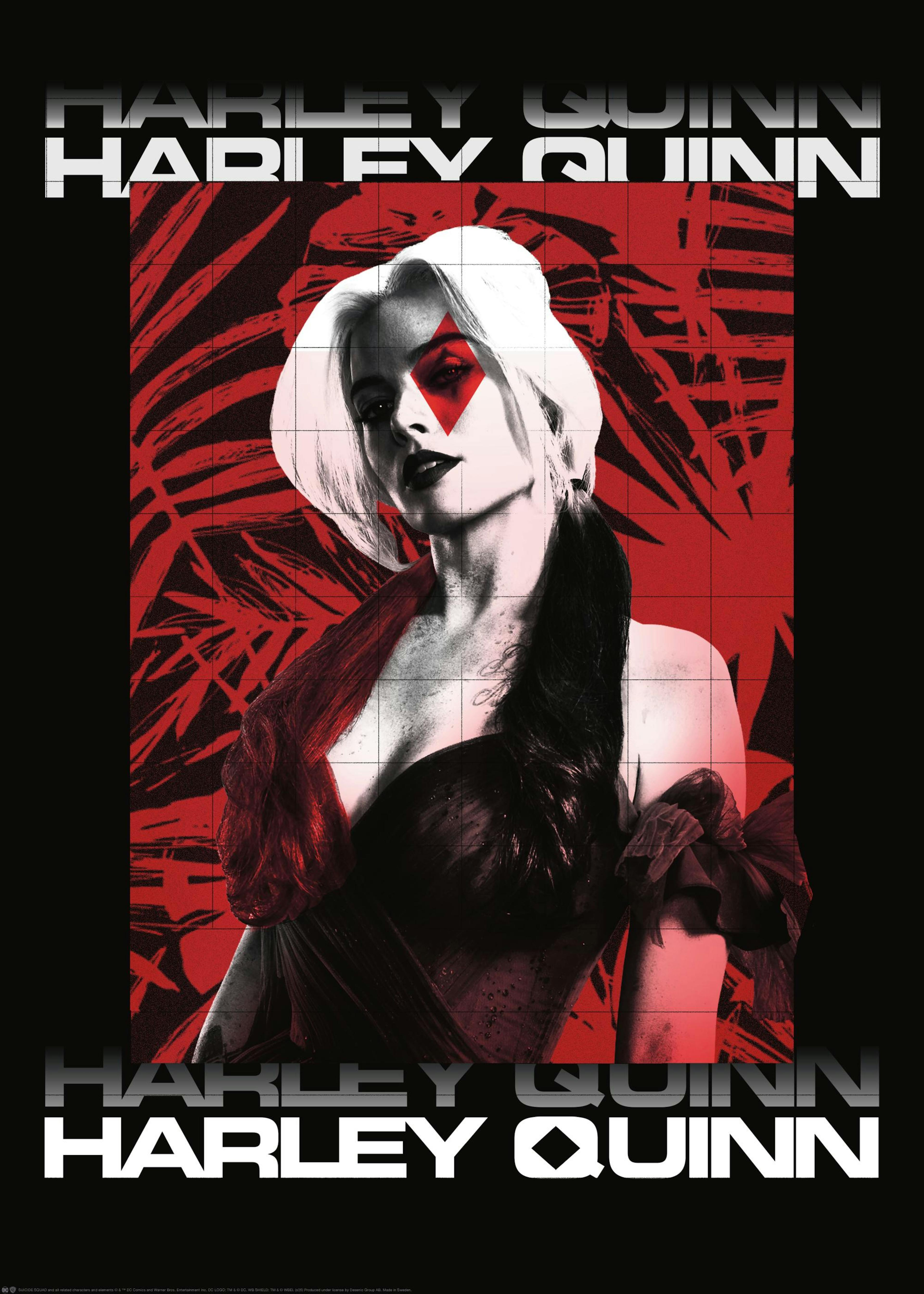 Harley Quinn™ - Red and Black Poster 0