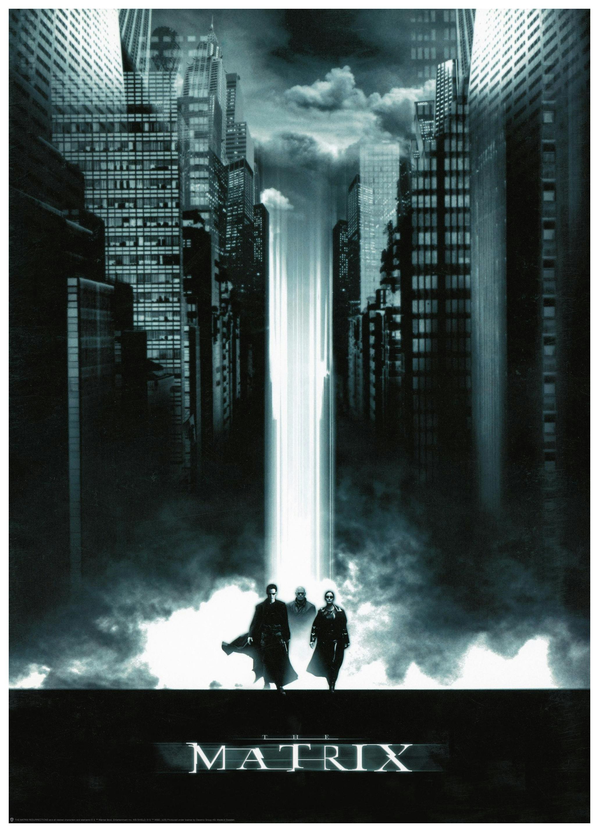 Matrix™ - The Matrix Poster (30x40 cm) - Poster Store