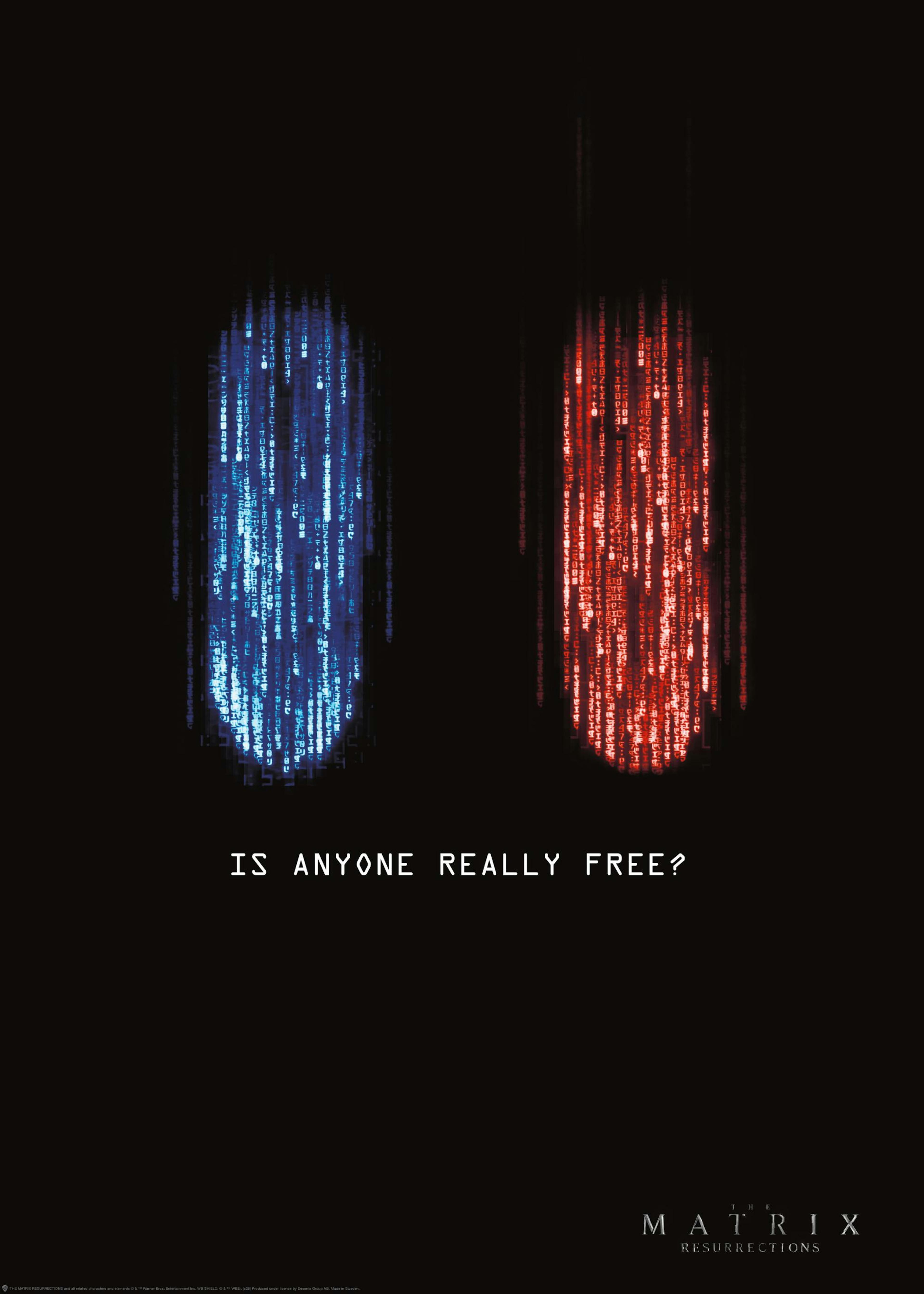 Matrix™ - Red Pill or Blue Pill Poster 0