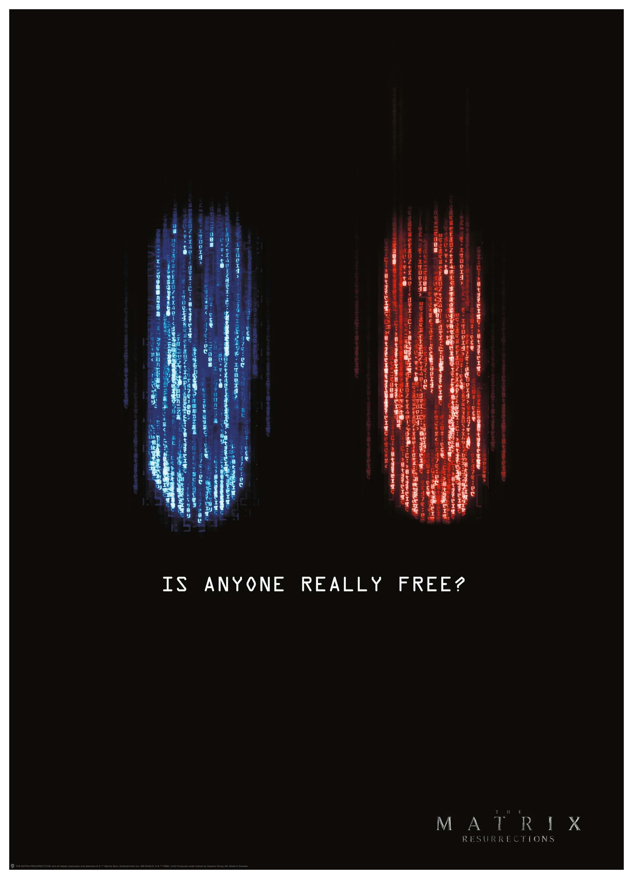 Matrix™ - Red Pill or Blue Pill Affiche (30x40 cm) - Poster Store