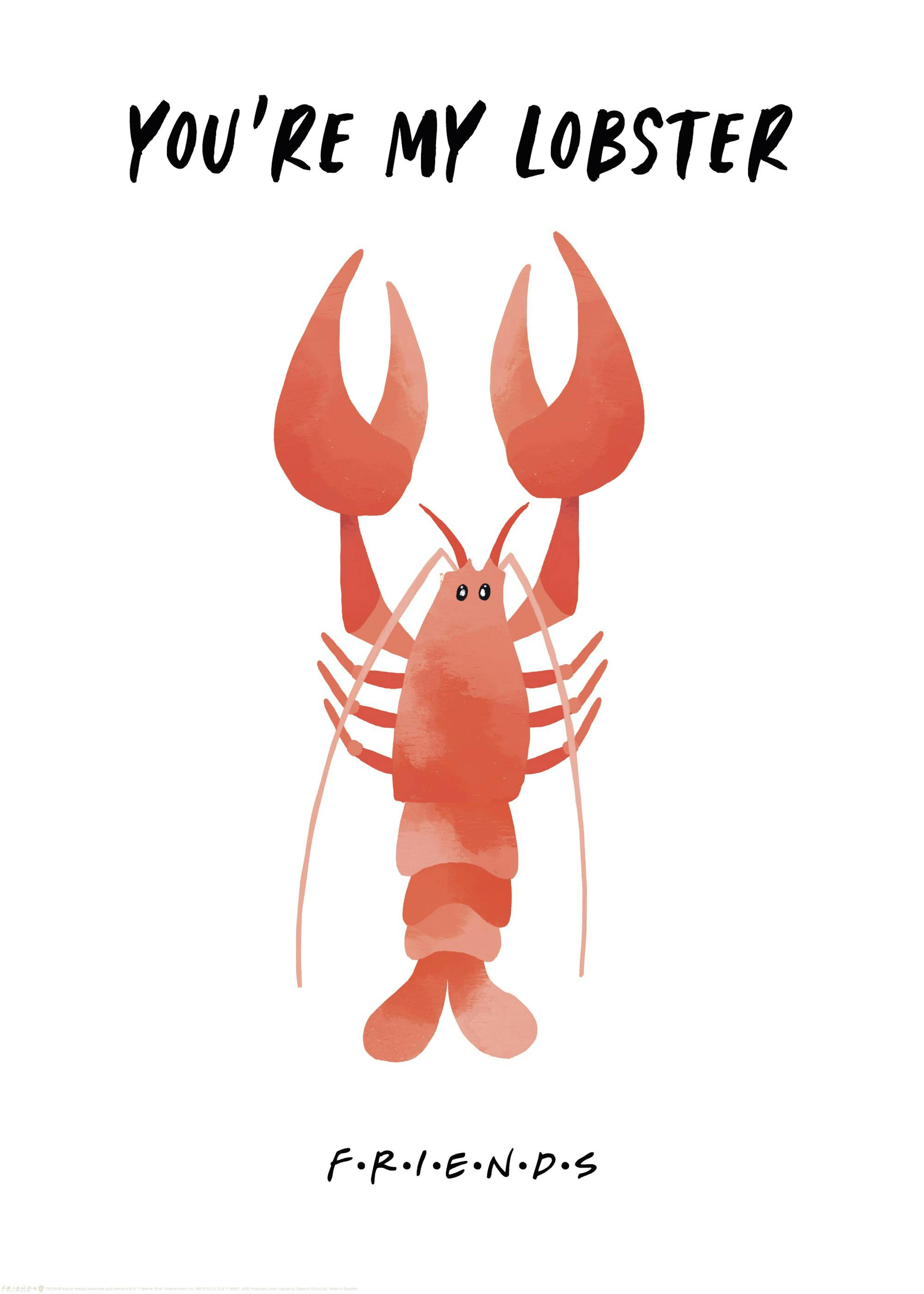 Friends™ - You're My Lobster Poster 0