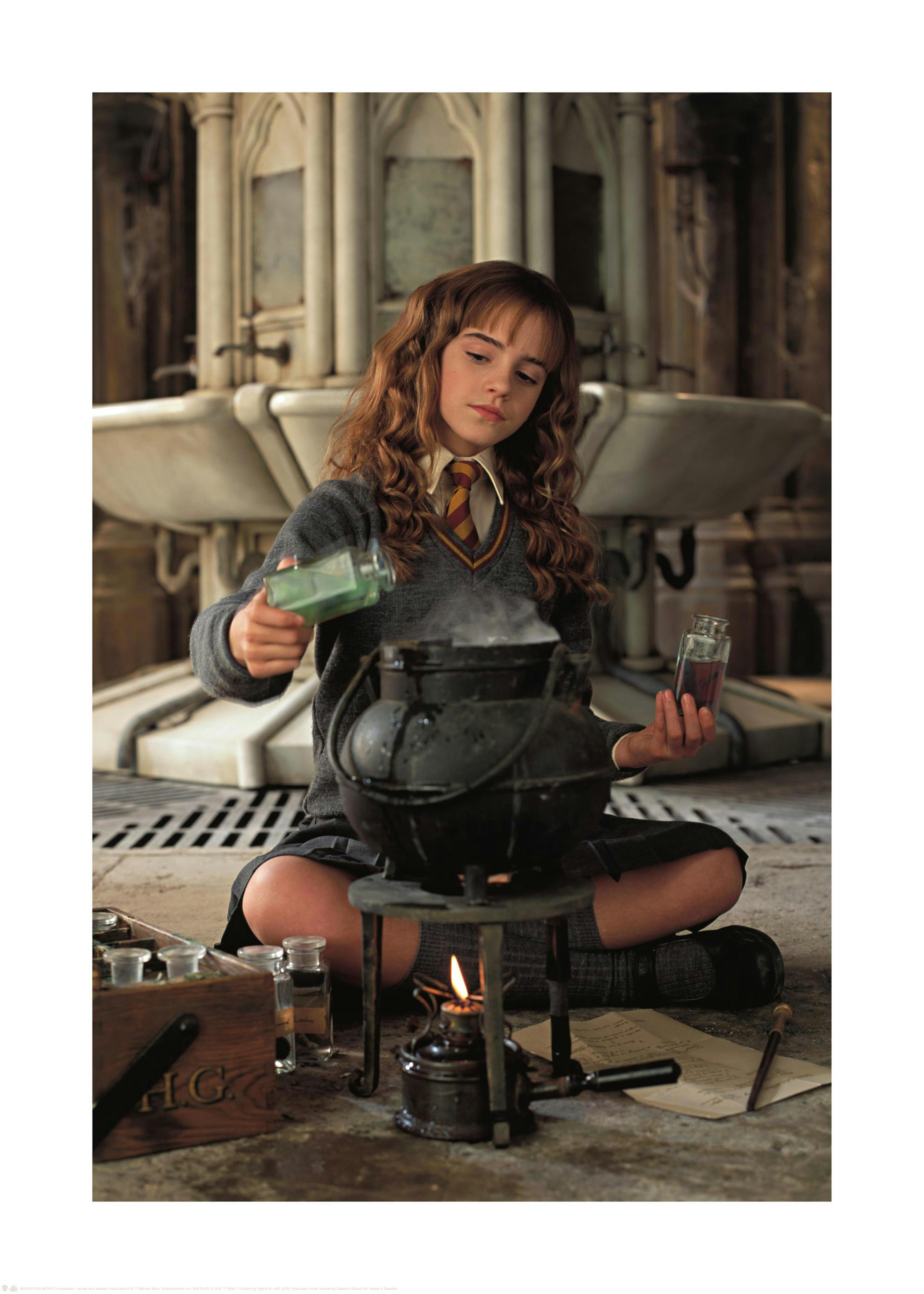 Harry Potter™ - Hermione Poster 0