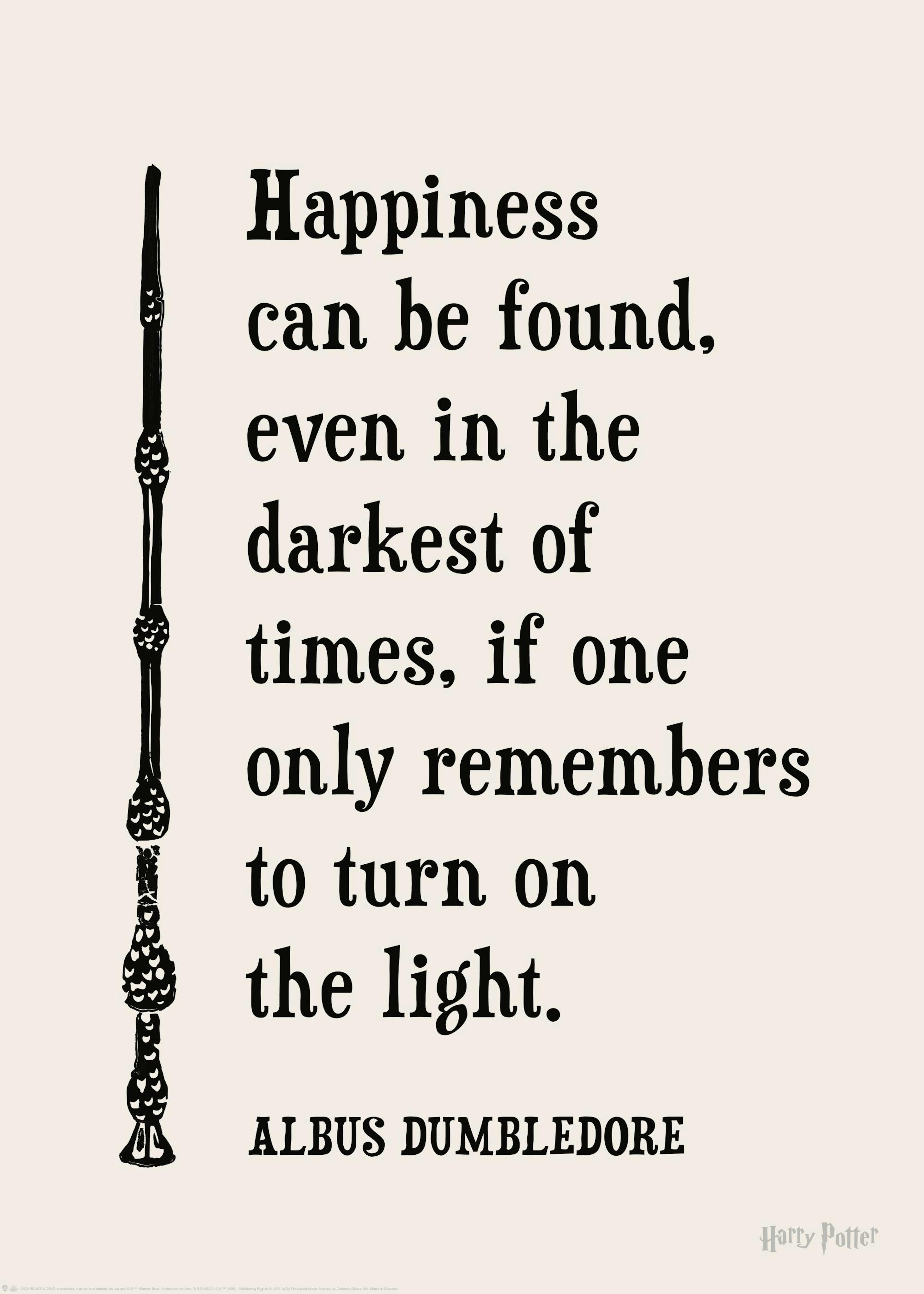 Harry Potter™ - Happiness Can Be Found Poster 0