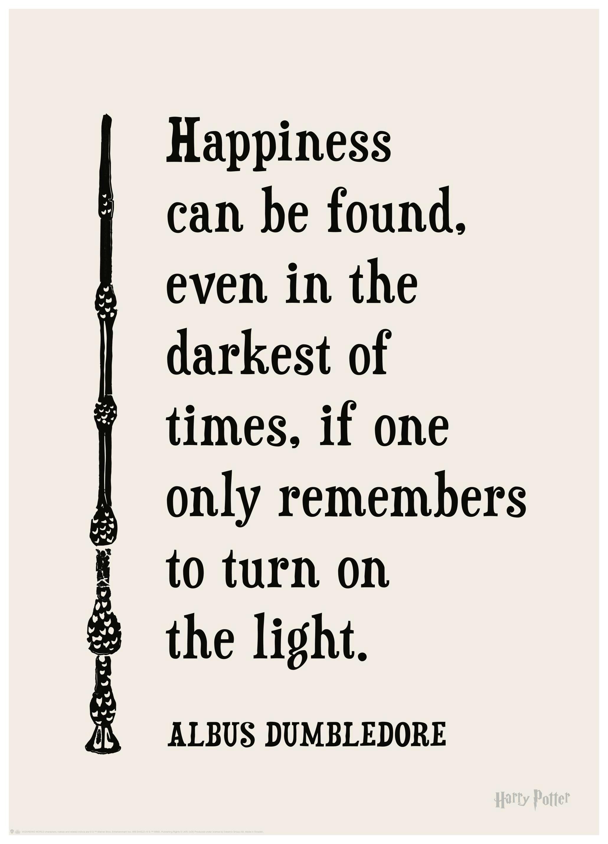 Harry Potter™ - Happiness Can Be Found Affiche (30x40 cm) - Poster Store