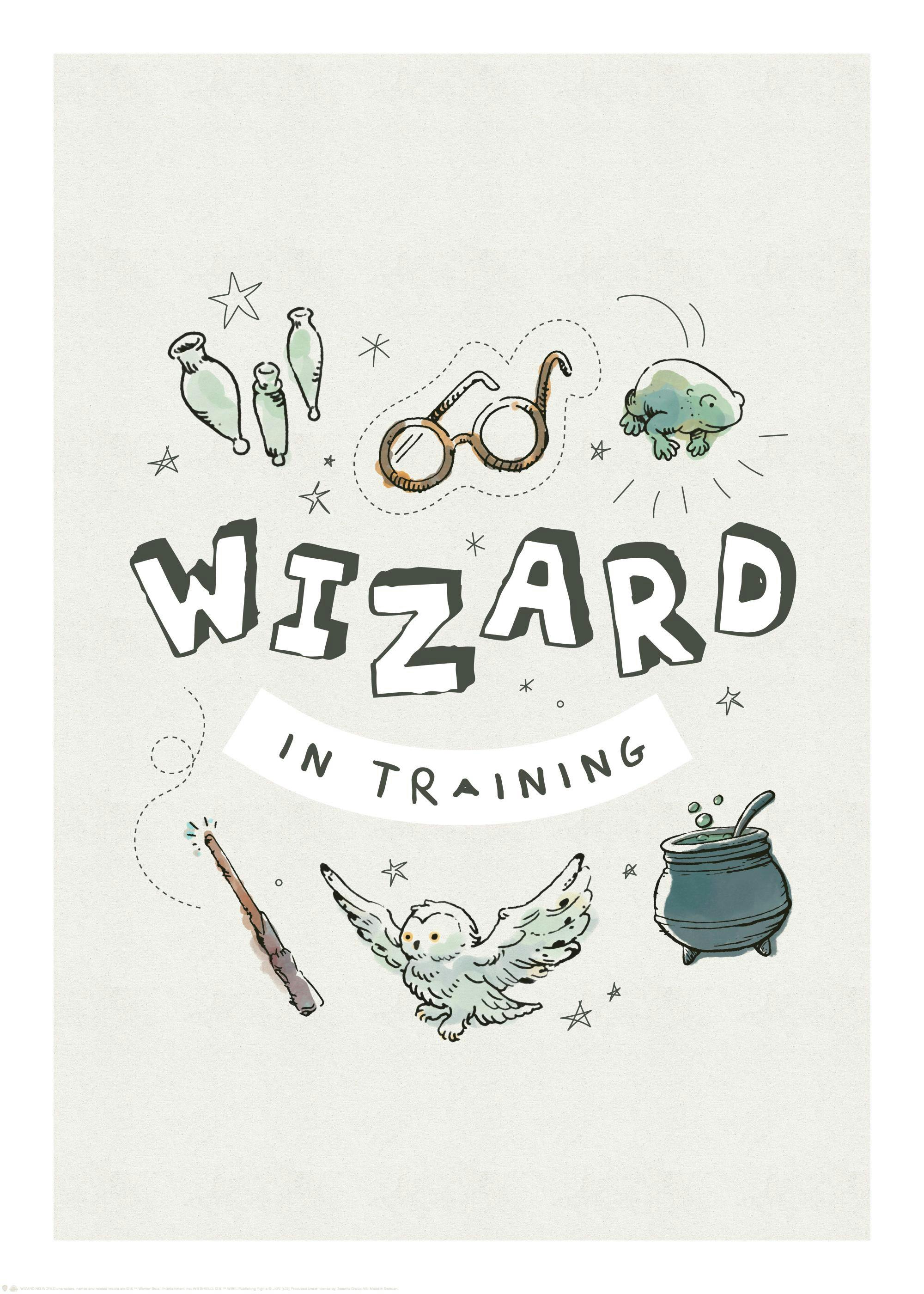 Harry Potter™ - Wizard in Training Poster 0