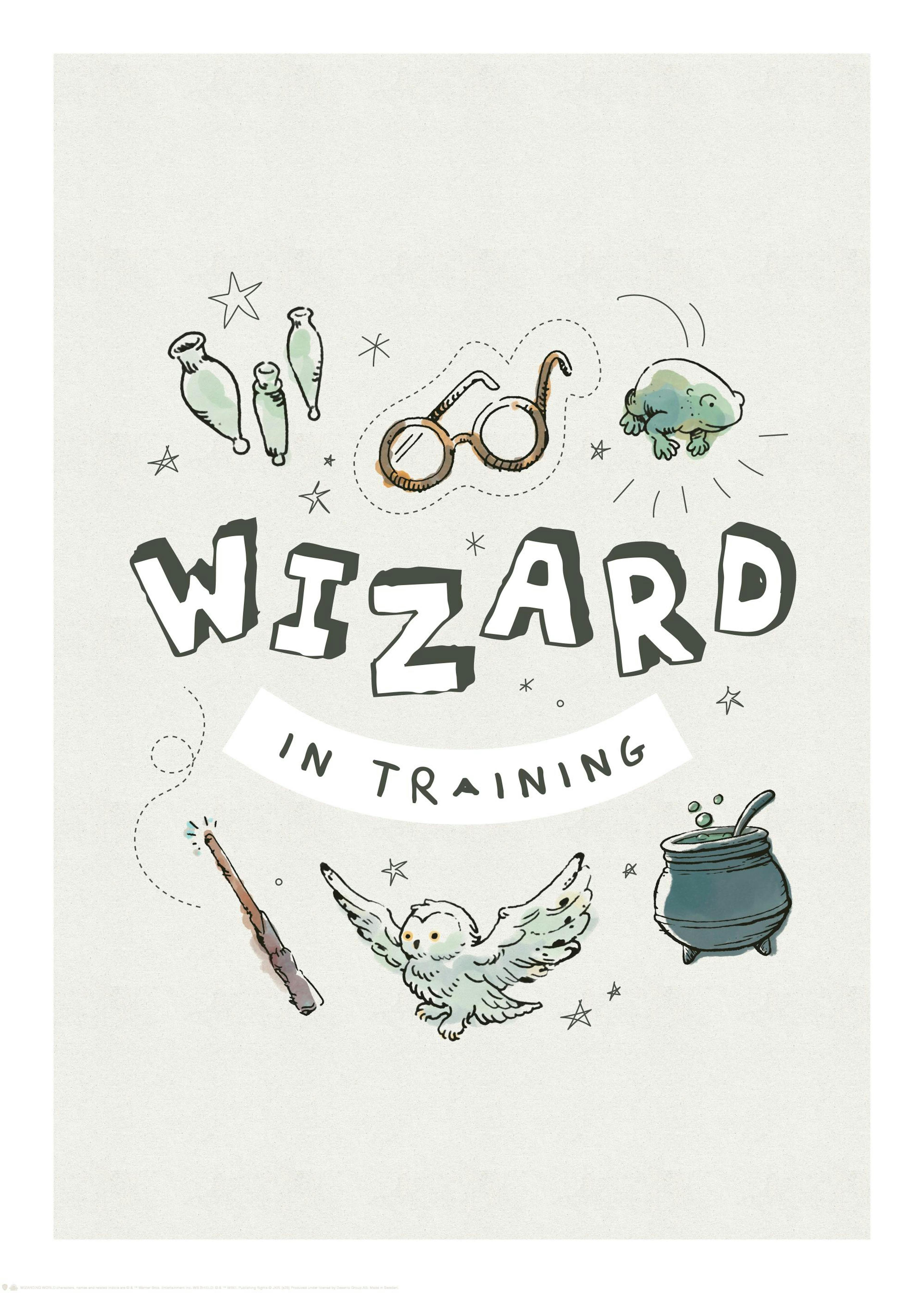 Harry Potter™ - Wizard in Training Poster 0