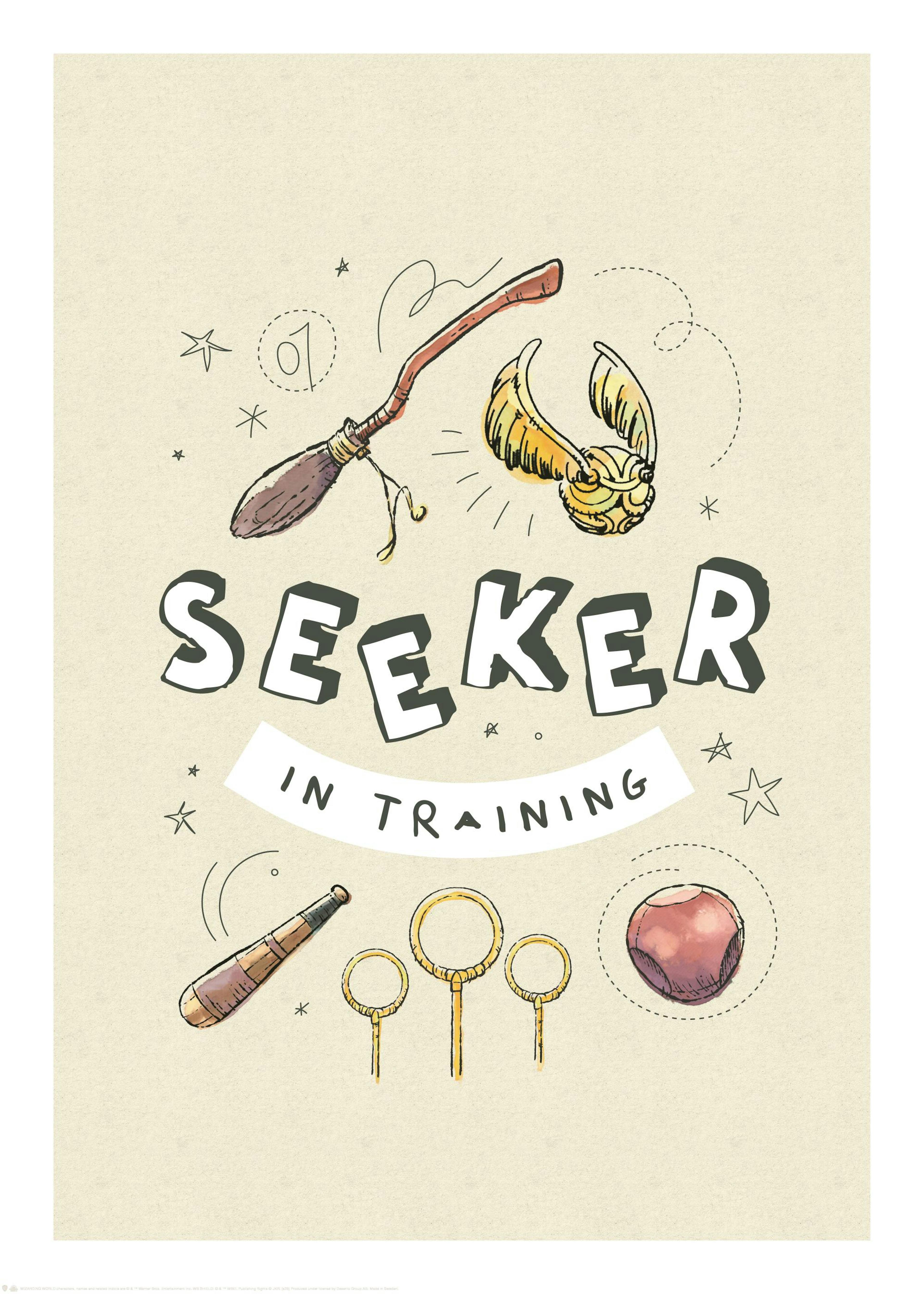 Harry Potter™ - Seeker in Training Poster 0