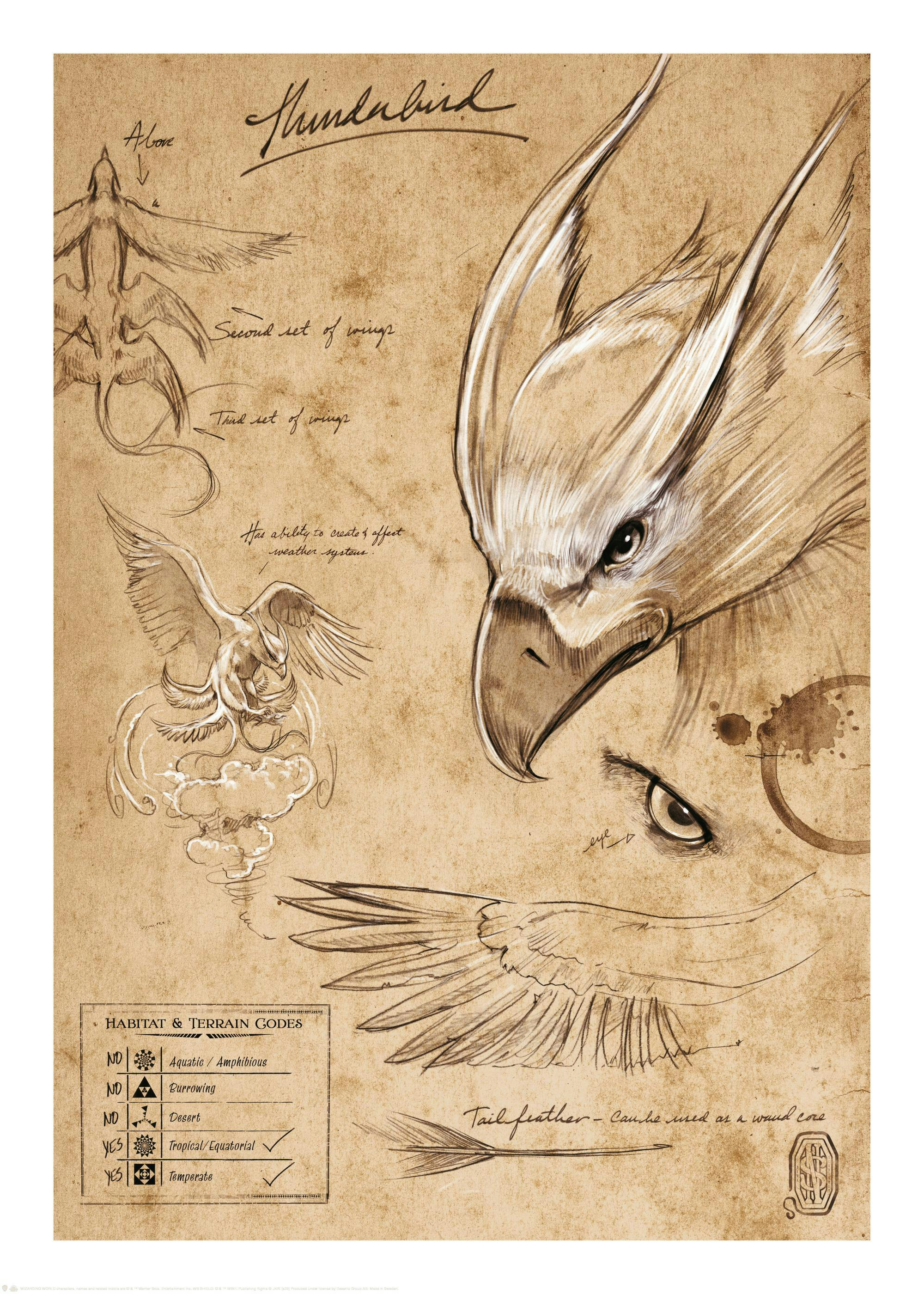 Fantastic Beasts™ - Thunderbird Sketch Poster 0