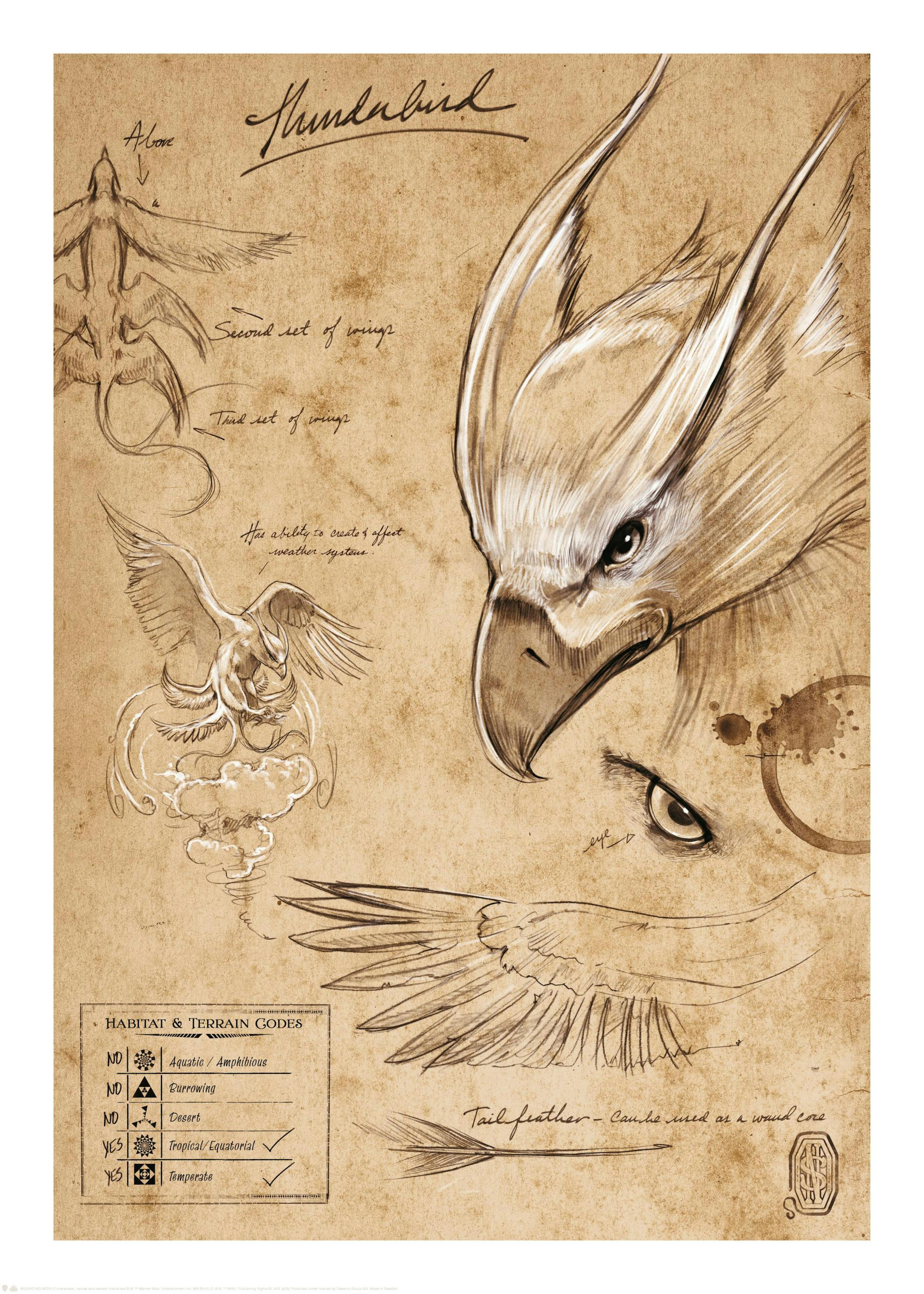 Fantastic Beasts™ - Thunderbird Sketch Poster 0