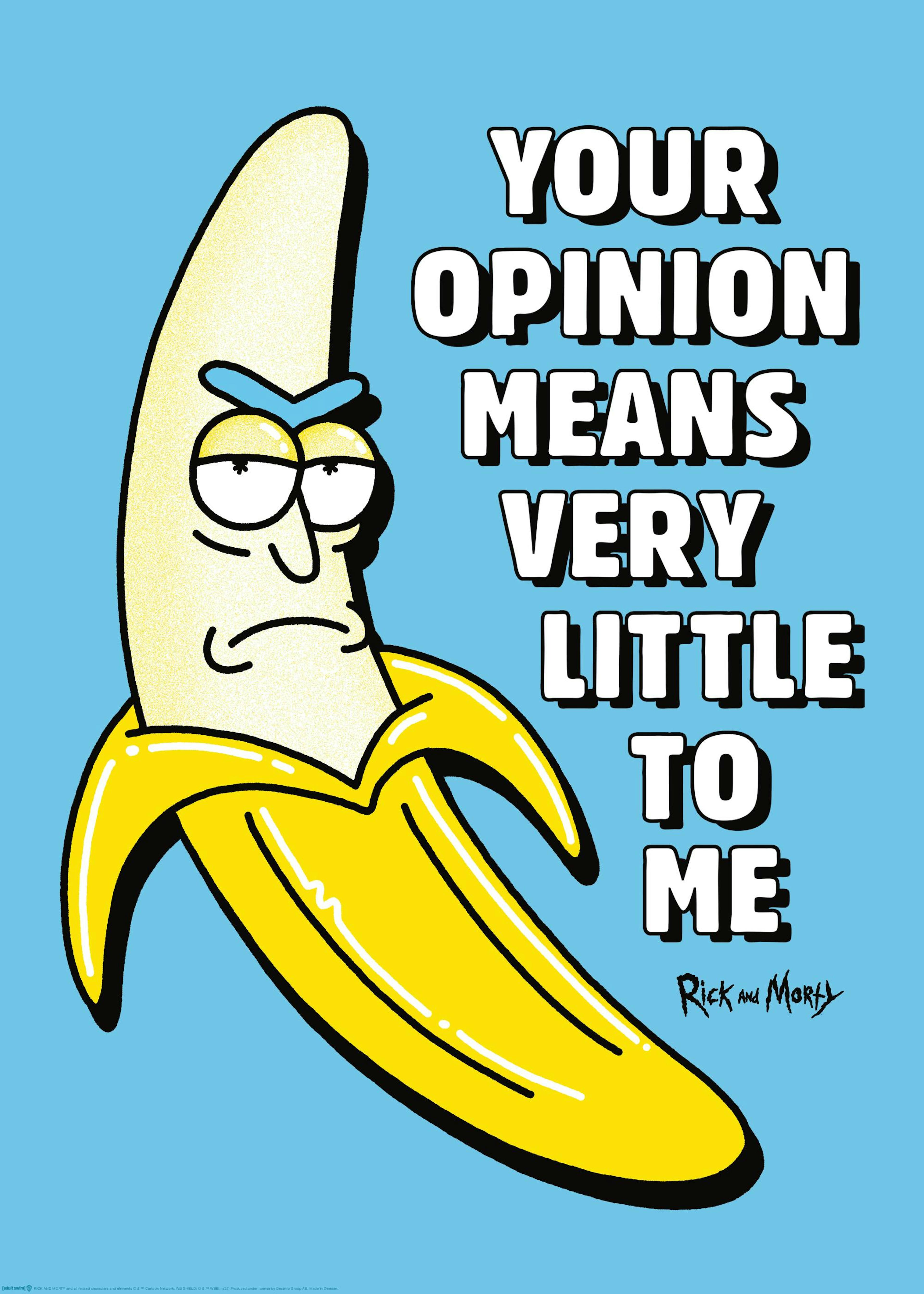Rick and Morty™ Your Opinion Poster 0