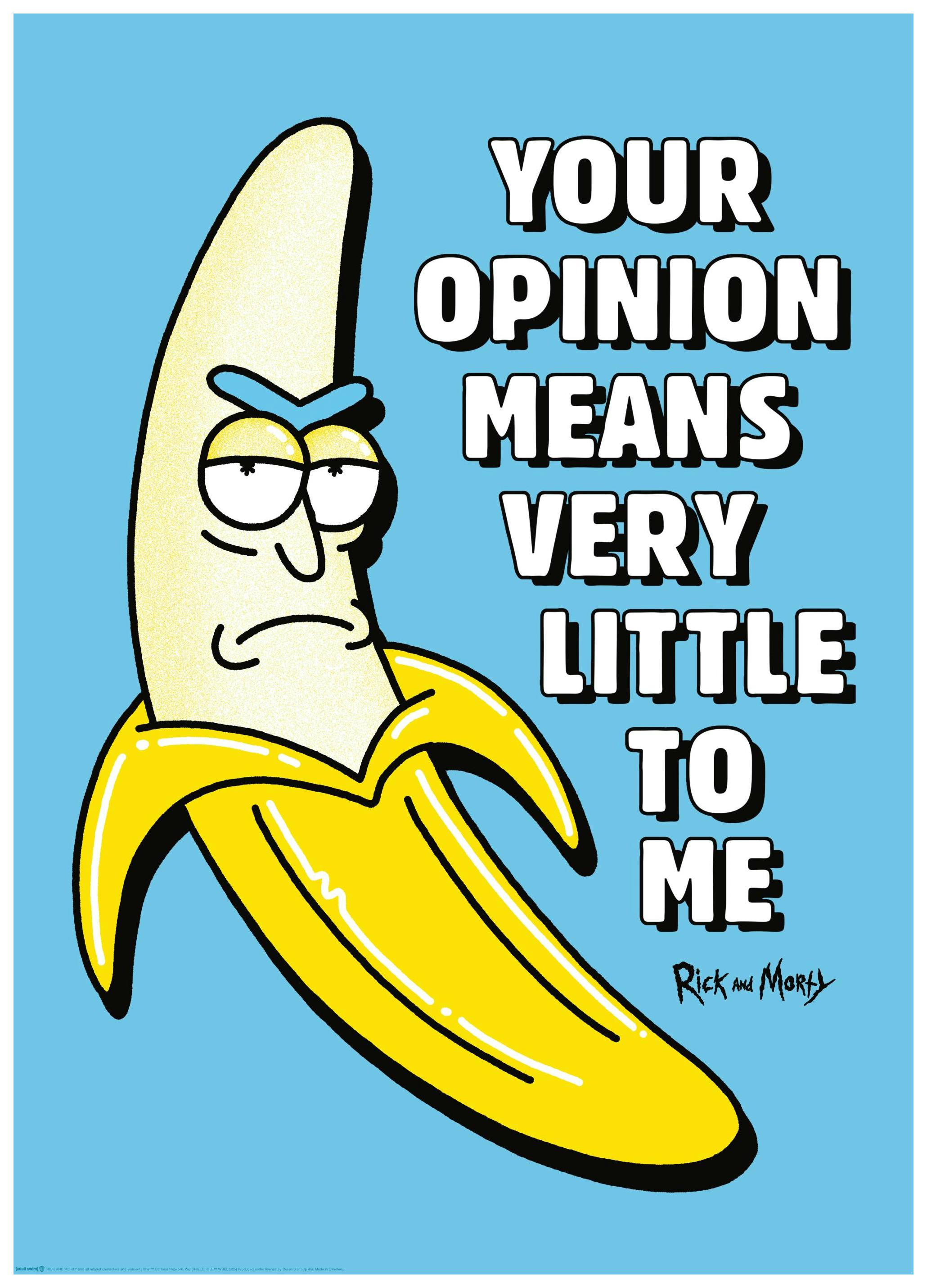Rick and Morty™ Your Opinion Poster (30x40 cm) - Poster Store