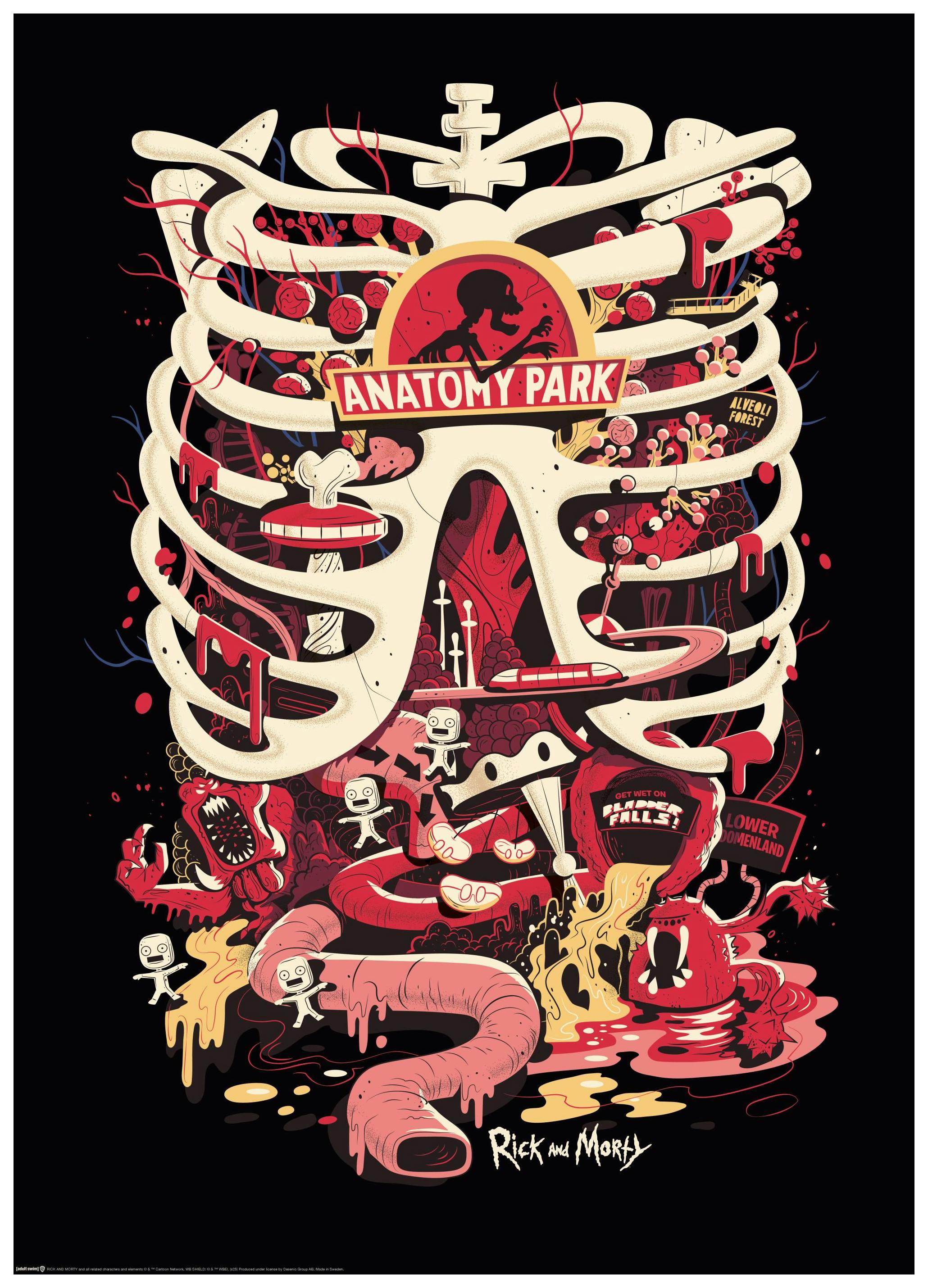 Rick and Morty™ Anatomy Park Affiche (30x40 cm) - Poster Store