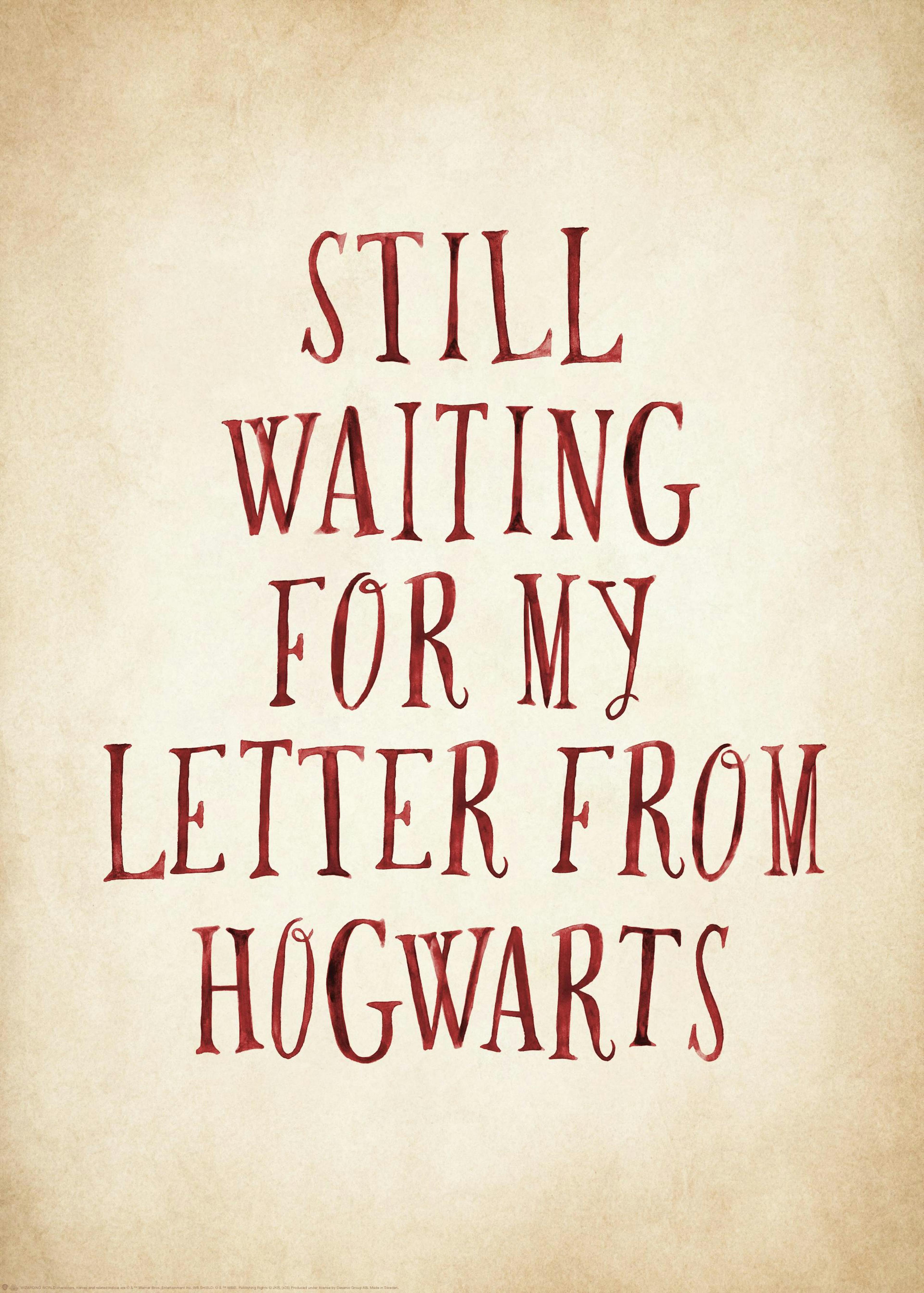Harry Potter™ - Letter From Hogwarts Poster 0