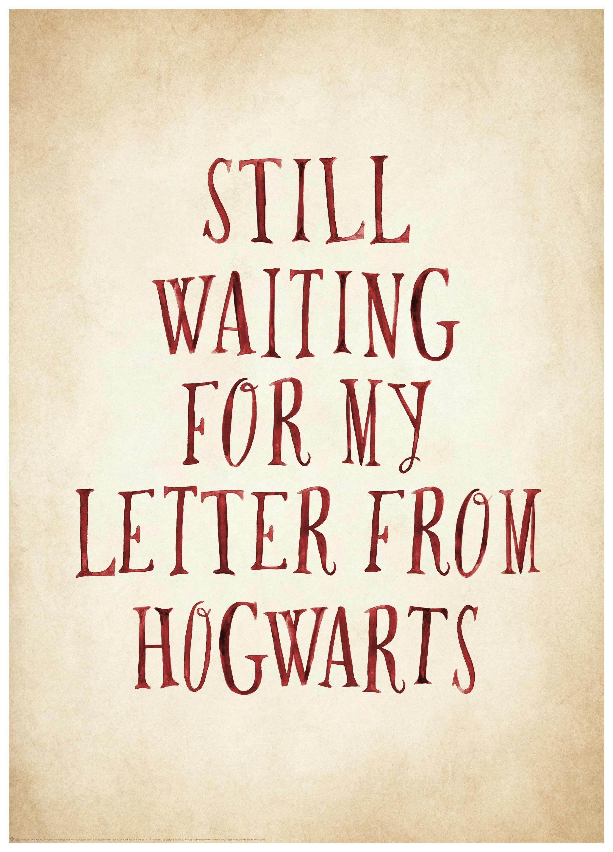 Harry Potter™ - Letter From Hogwarts Affiche (50x70 cm) - Poster Store