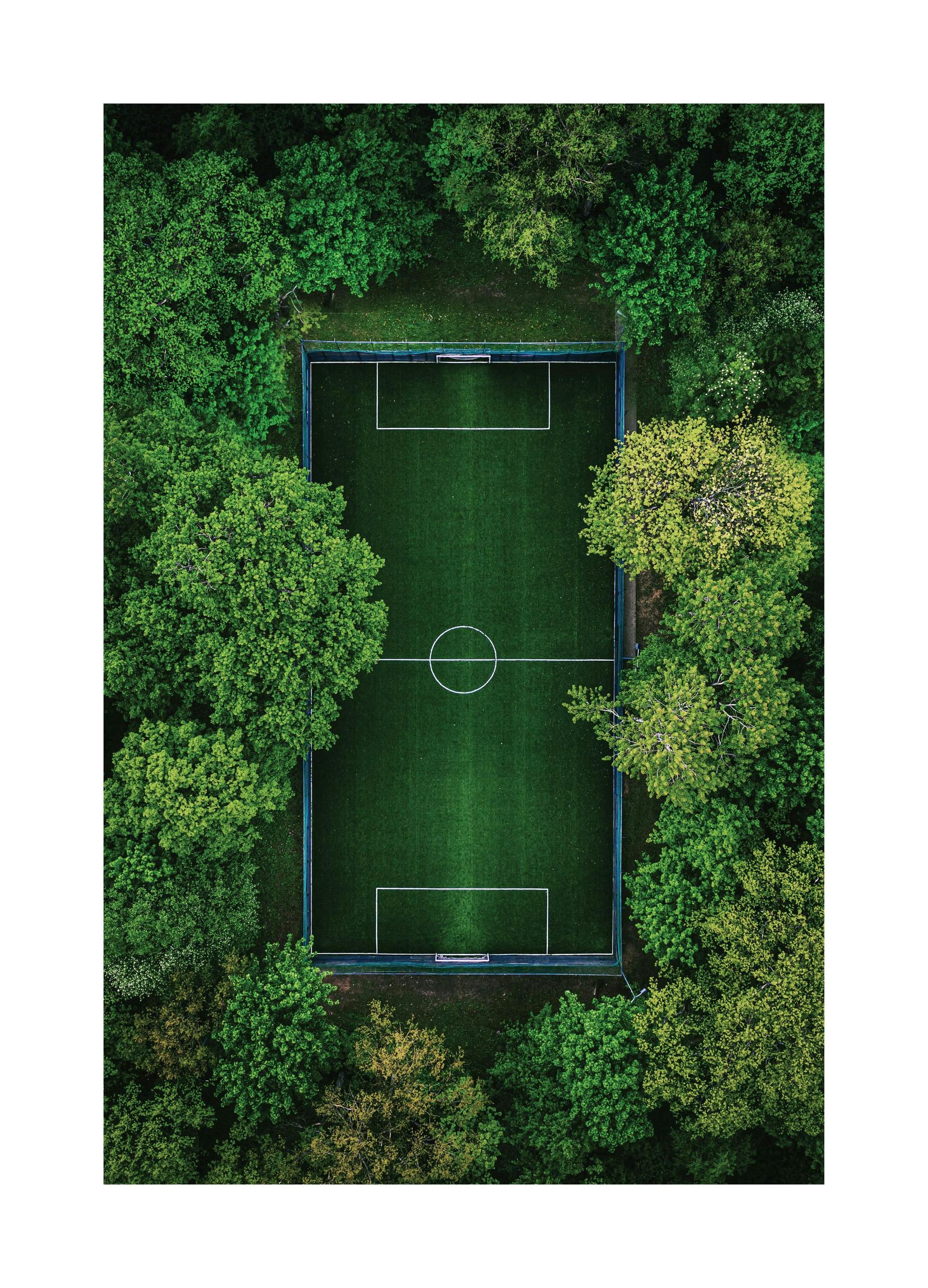 Groene Voetbalveld Poster (50x70 cm) - Poster Store