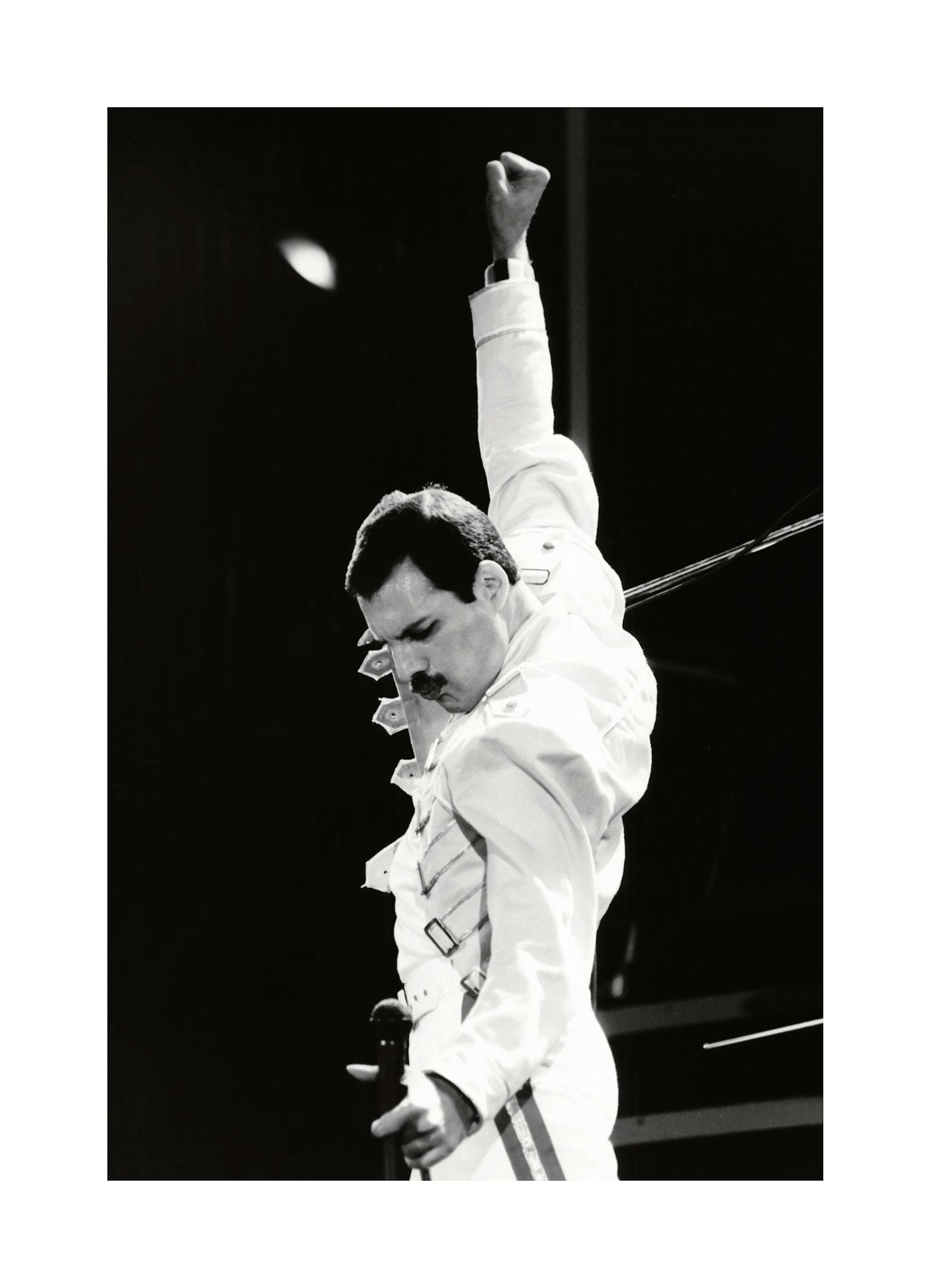 Freddie Mercury Poster thumbnail