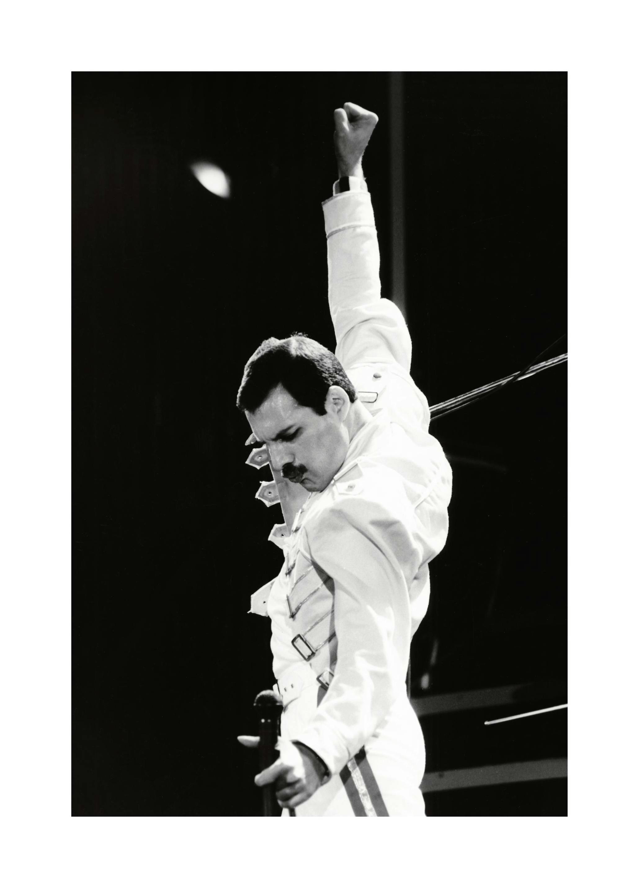 Freddie Mercury Poster (30x40 cm) - Poster Store