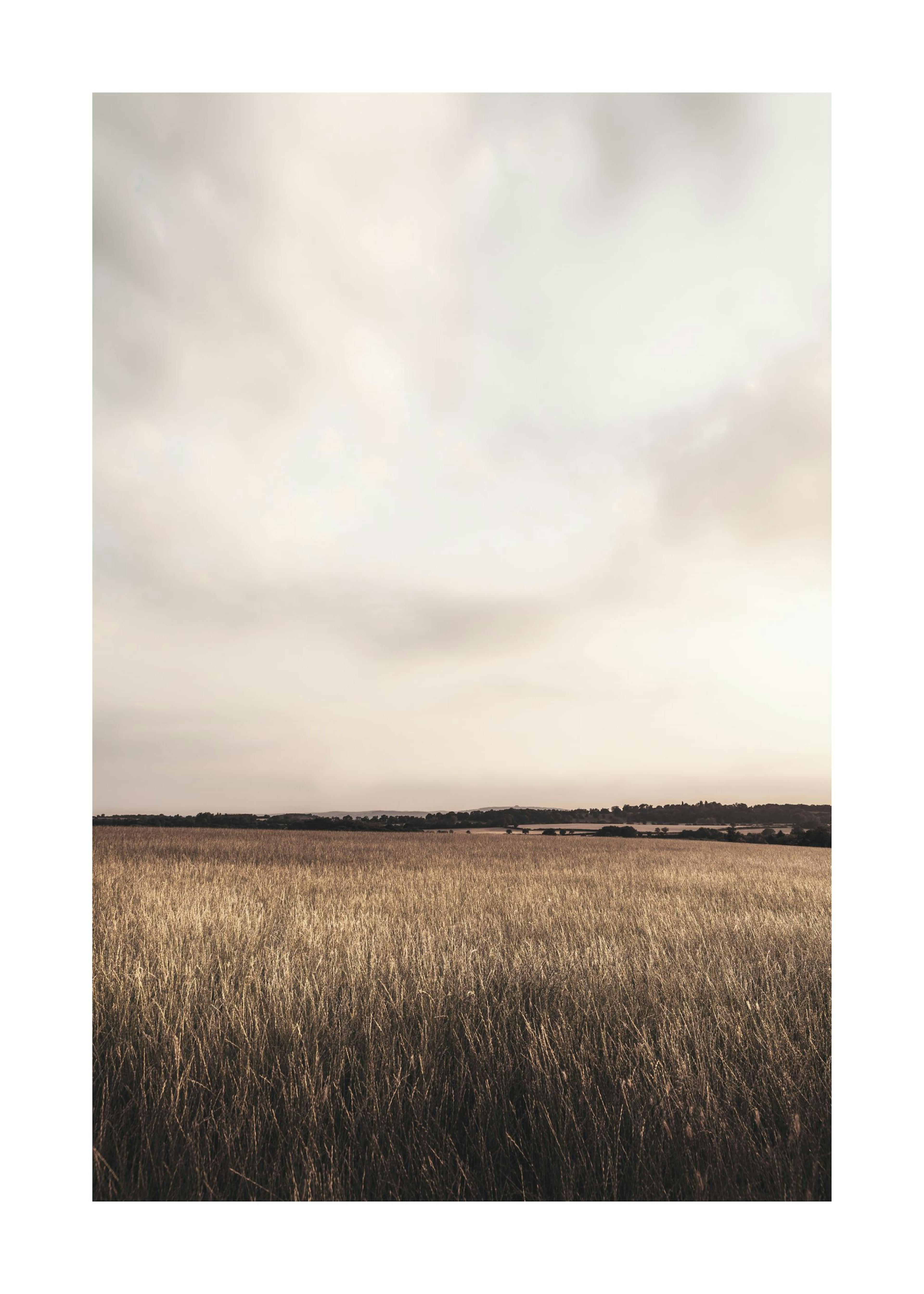 Field below the clouds Poster 0